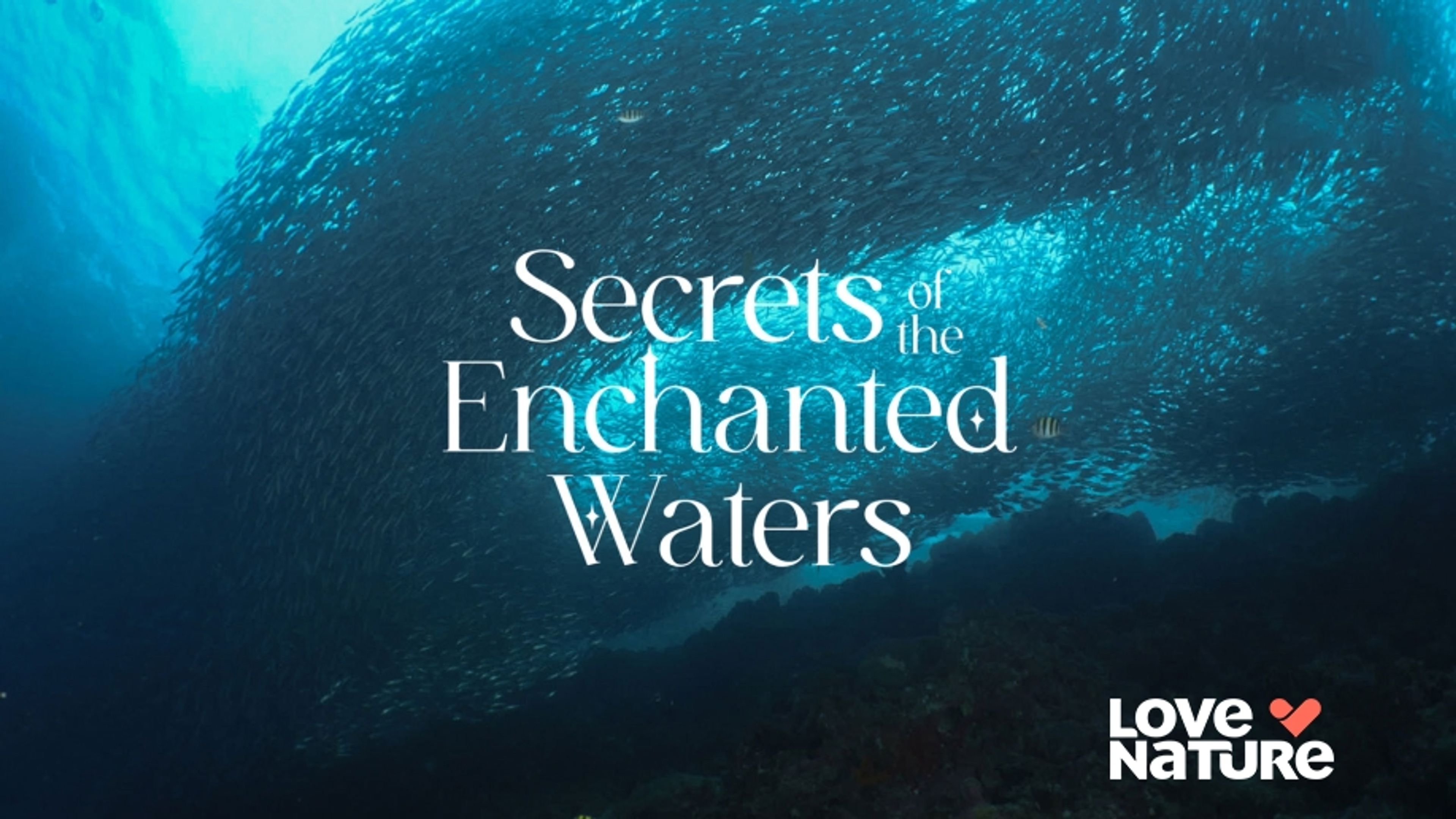 Secrets of the Enchanted Waters