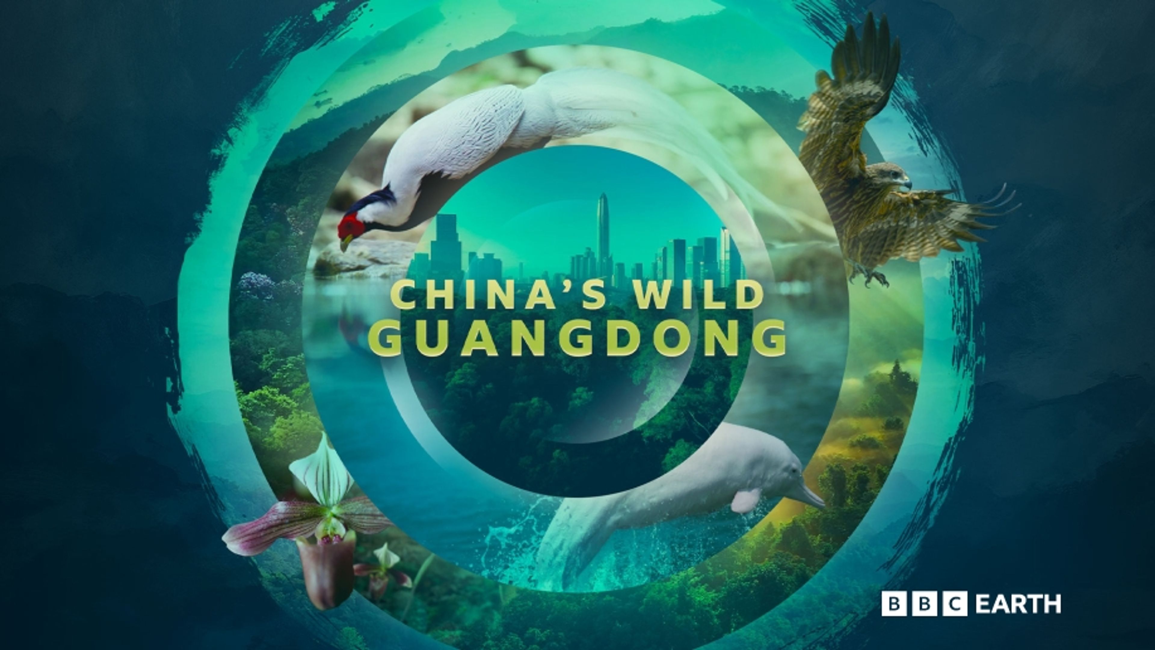 China's Wild Guangdong