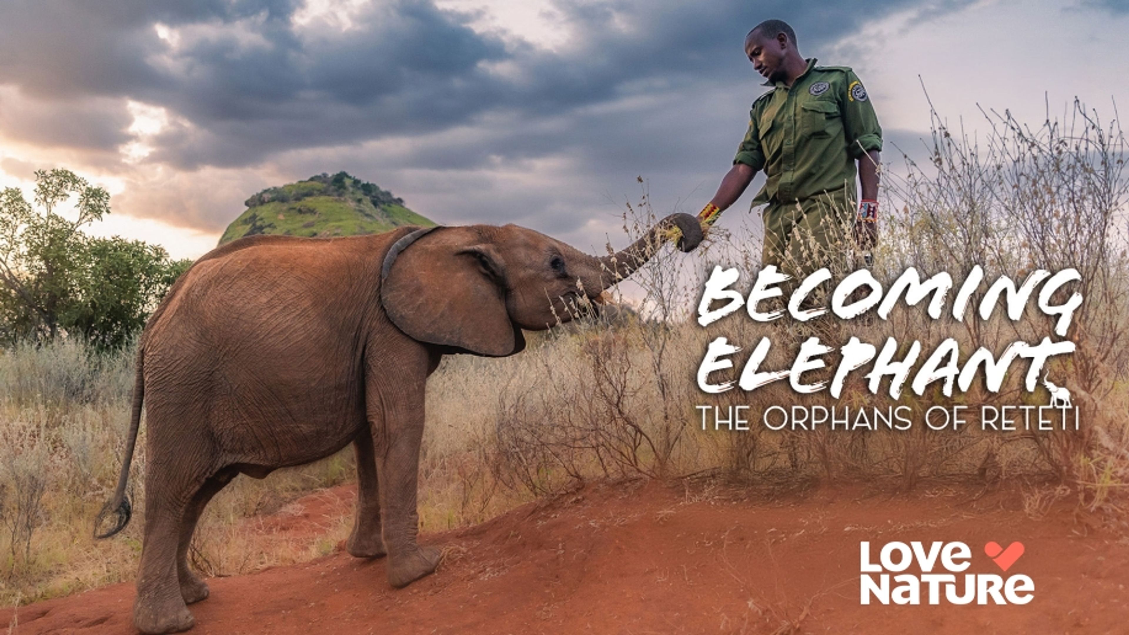 Becoming Elephant: The Orphans of Reteti
