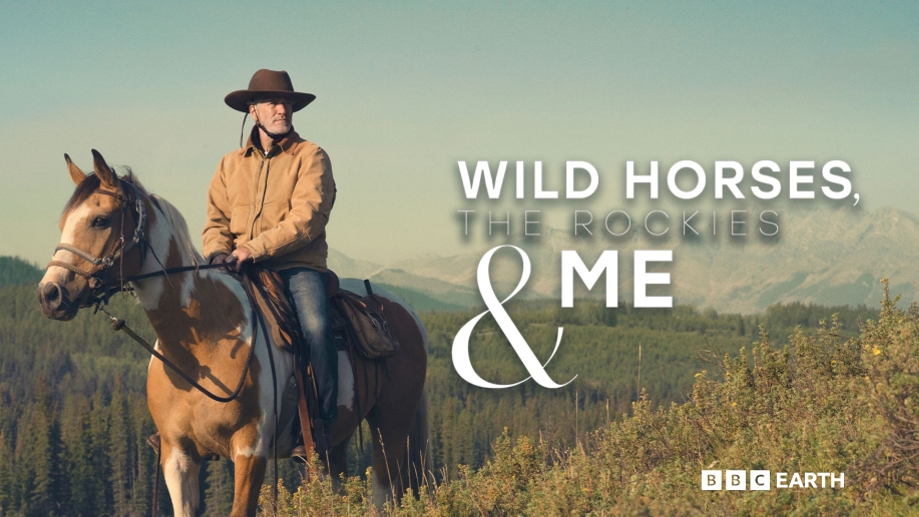 Wild Horses, the Rockies and Me