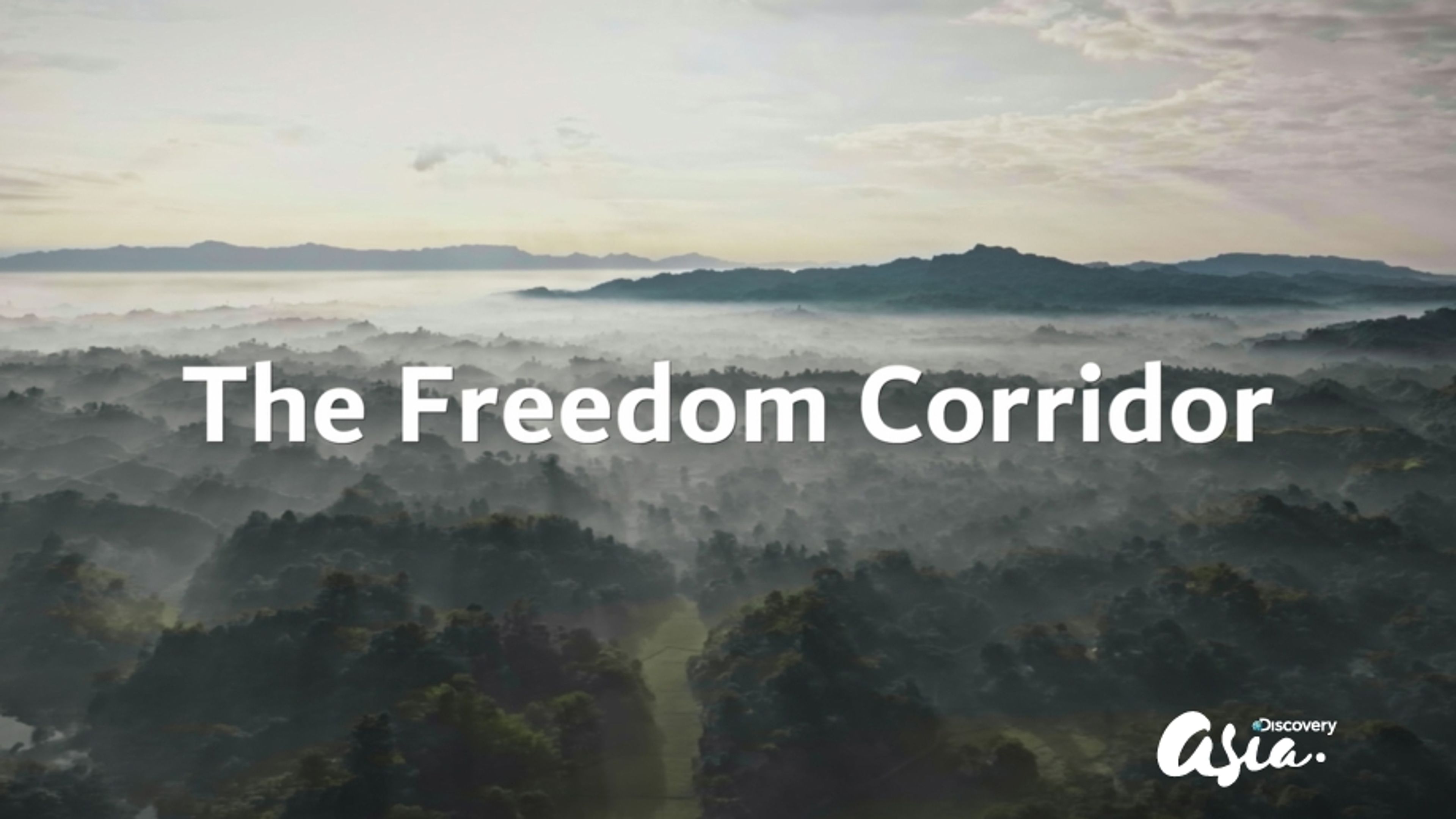 The Freedom Corridor