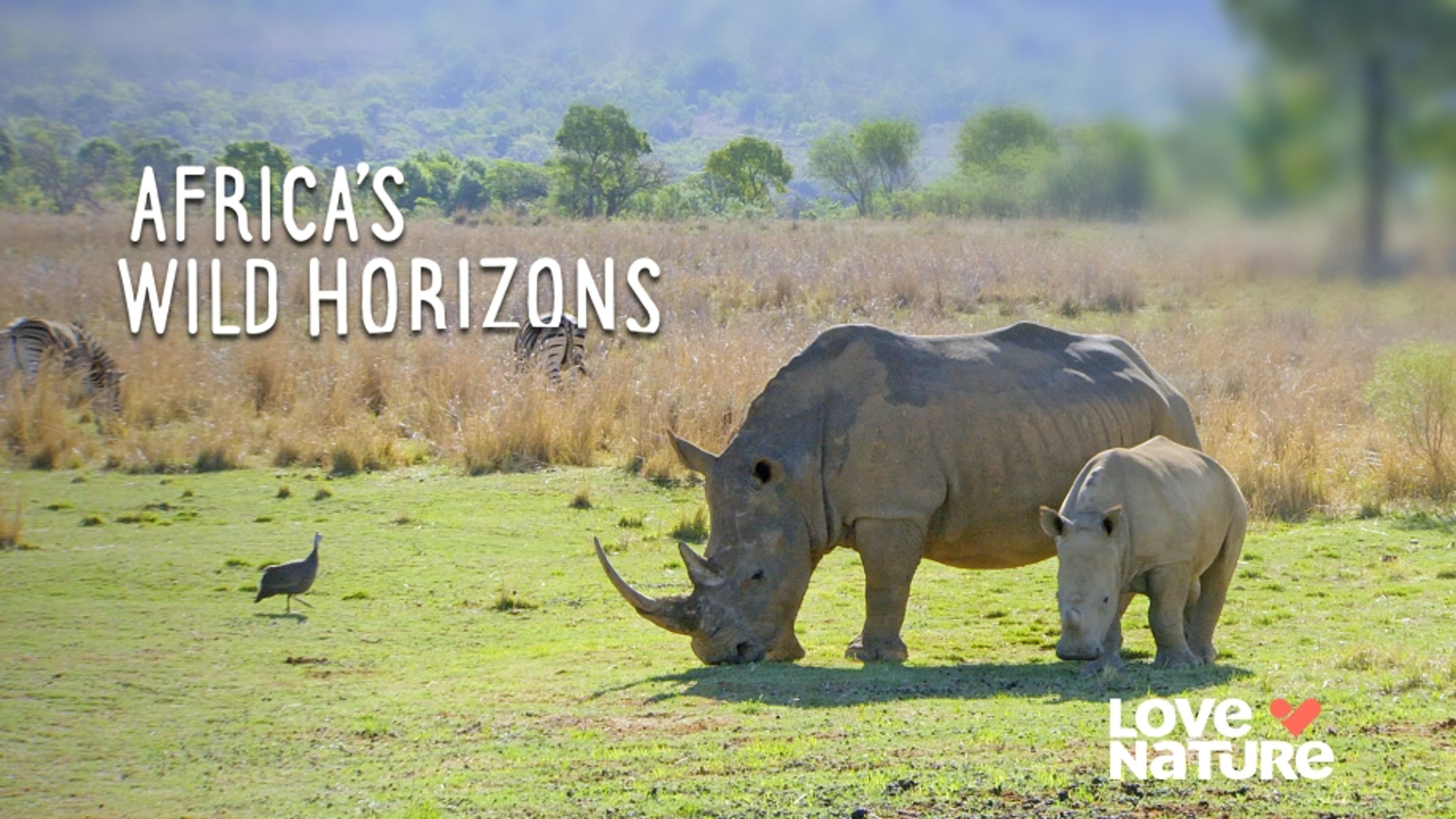 Africas Wild Horizons
