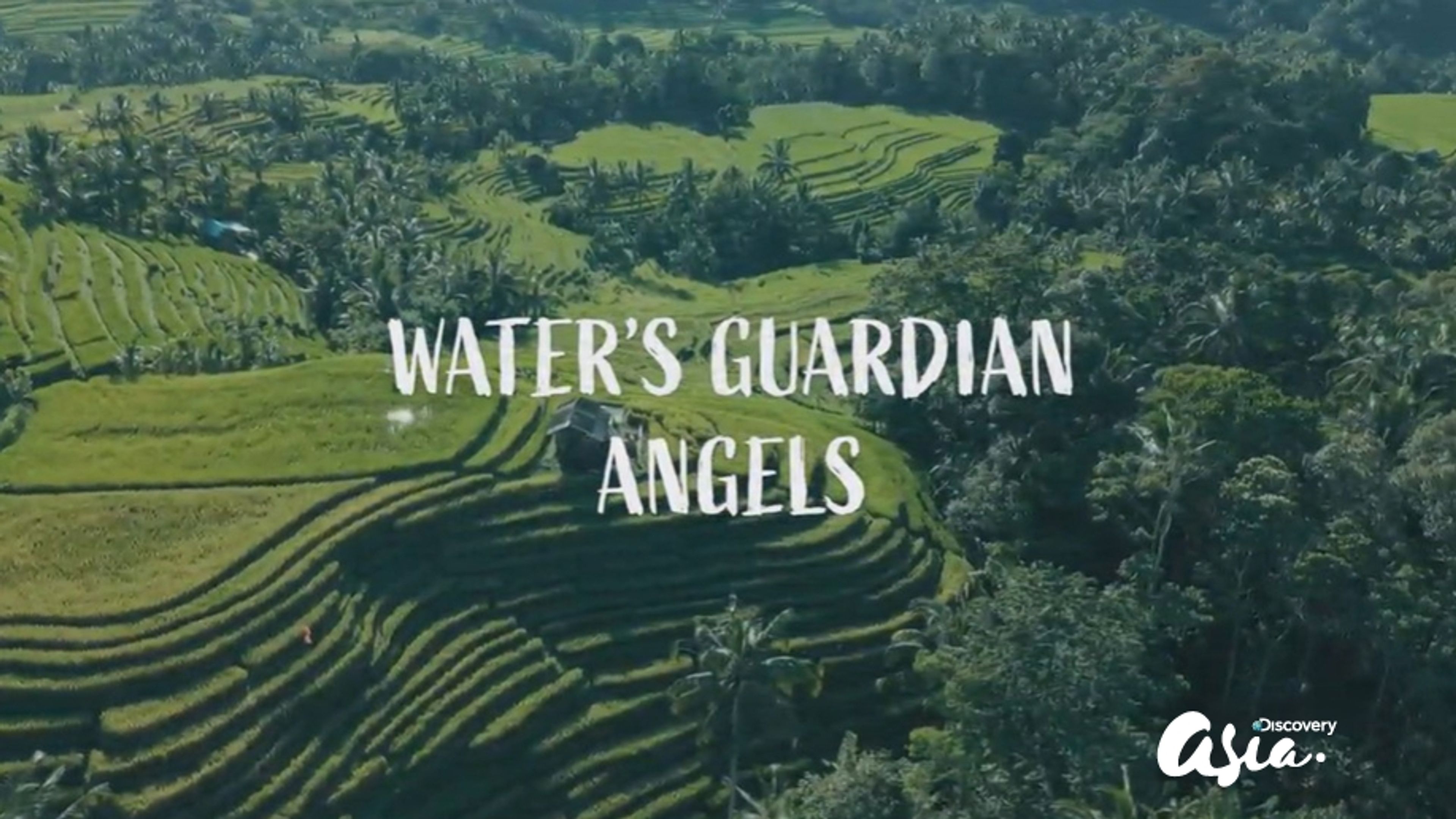 Water's Guardian Angels