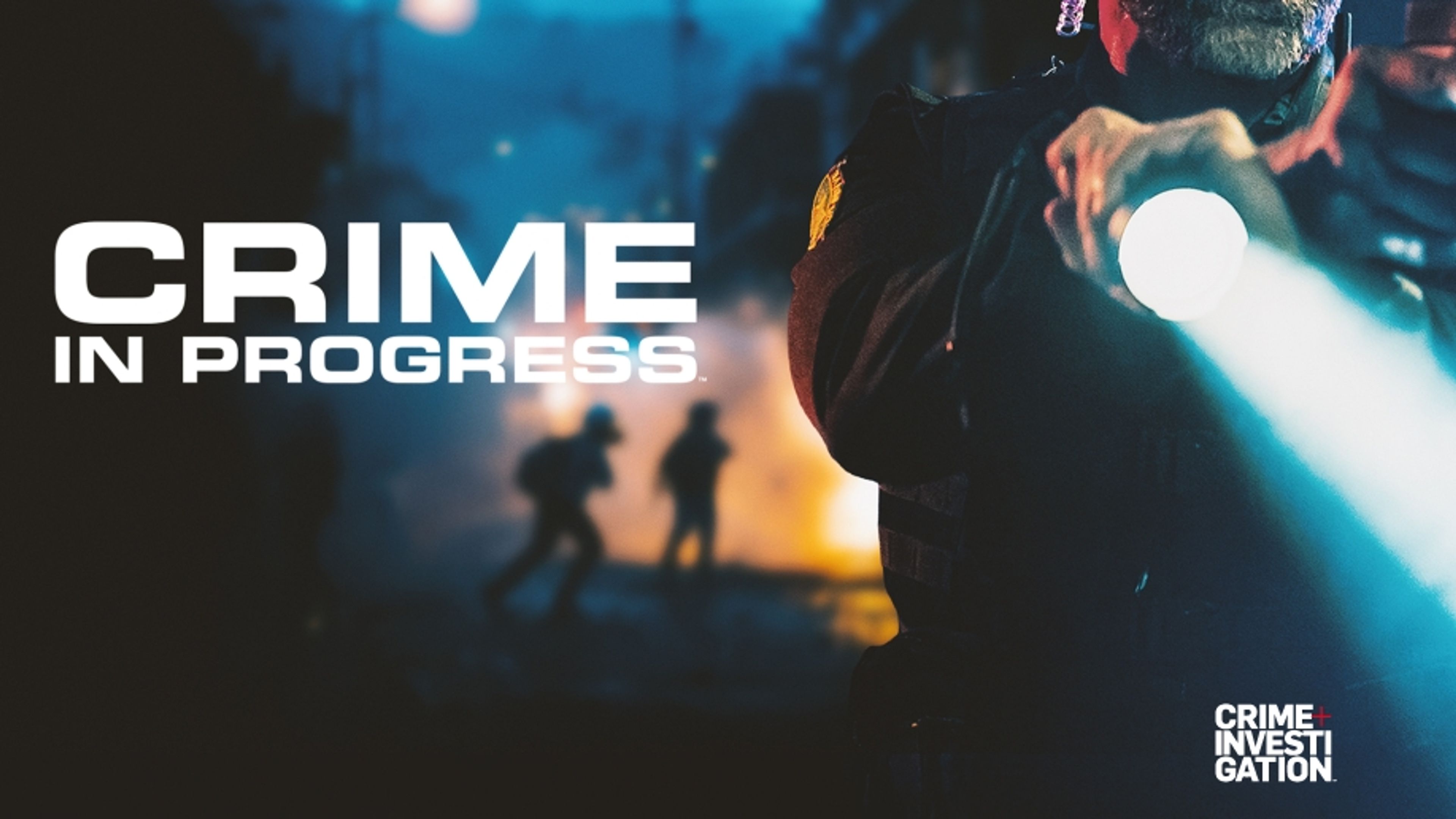 Crime In Progress