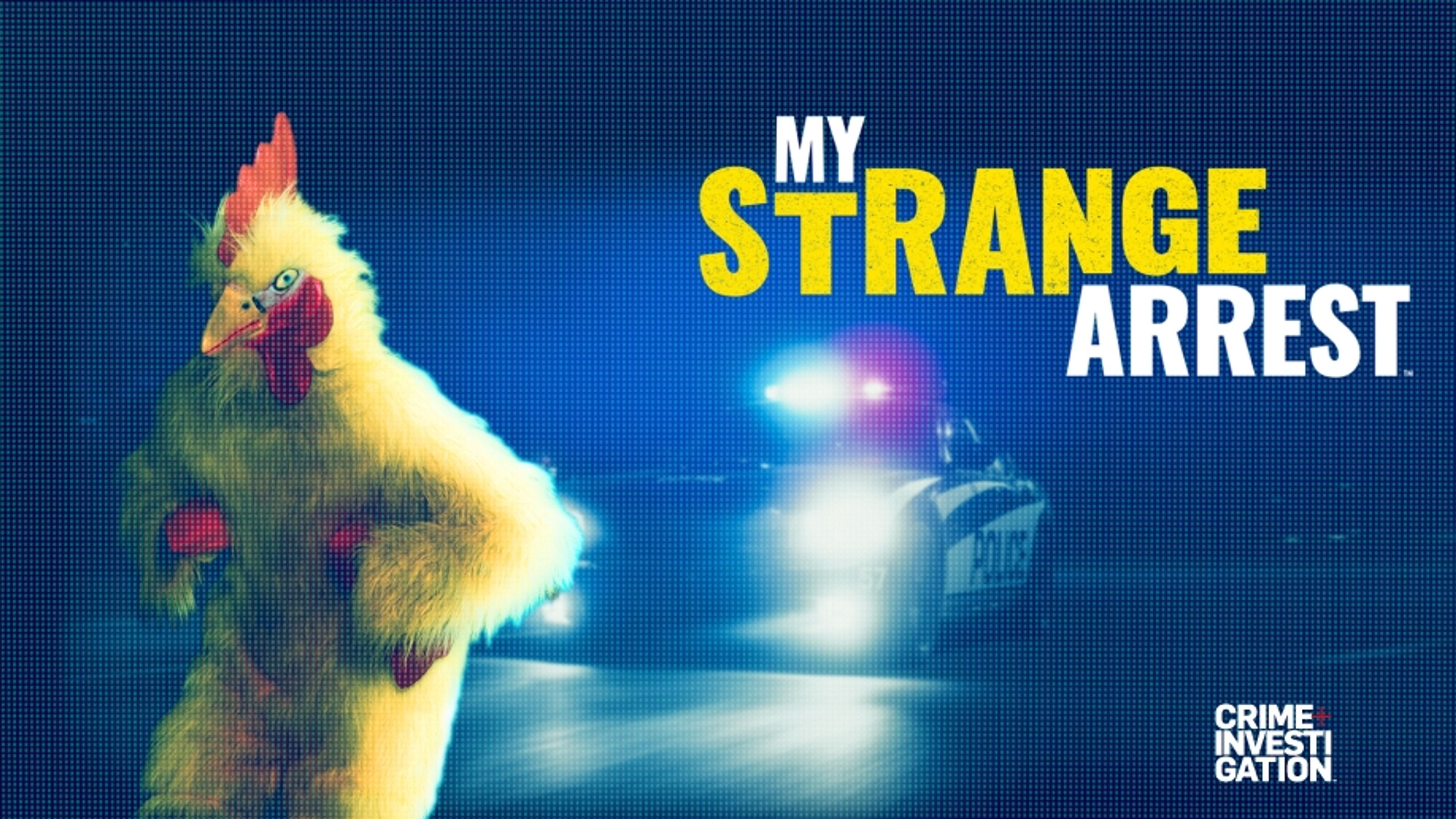 My Strange Arrest