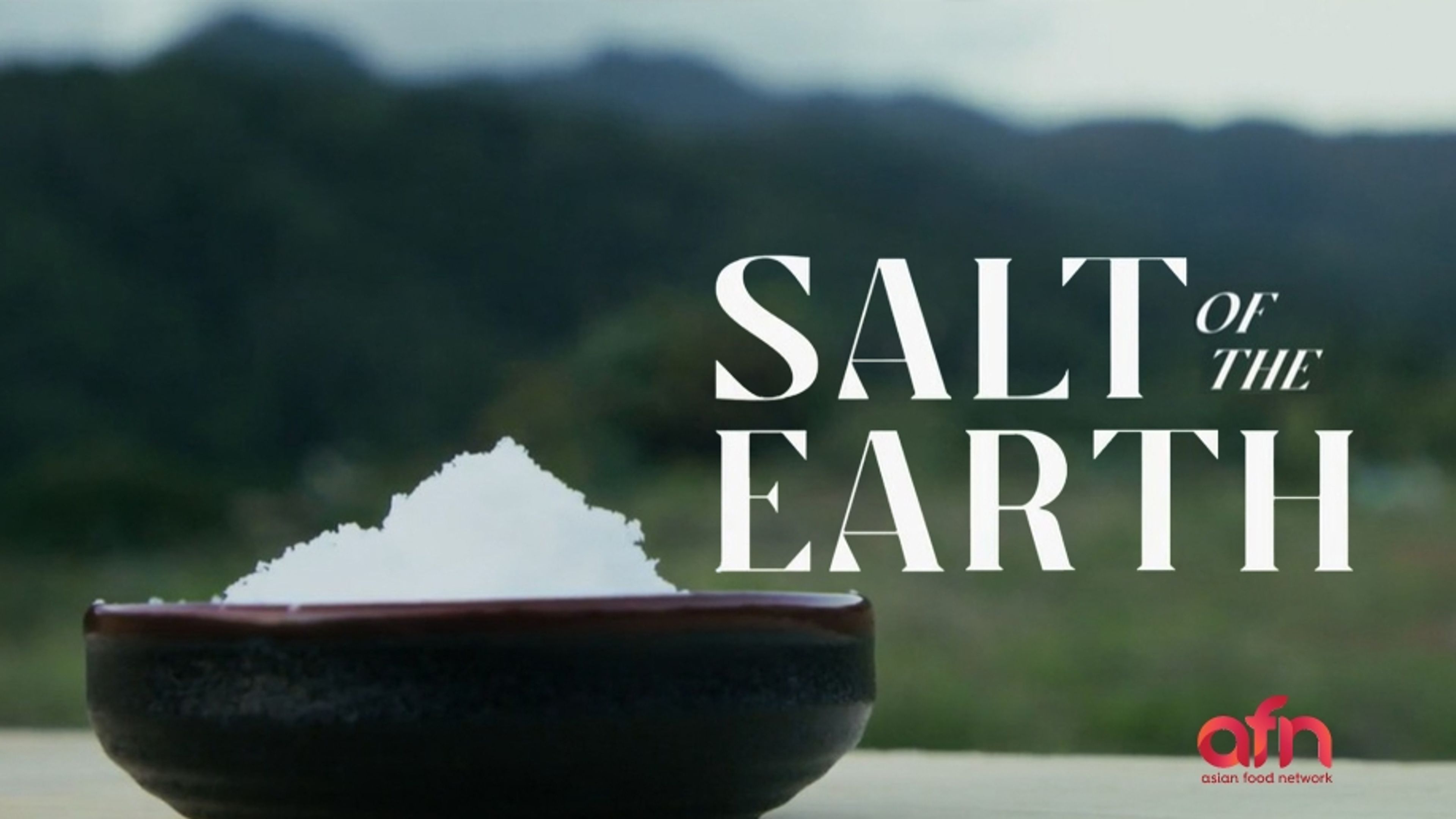 Salt Of The Earth