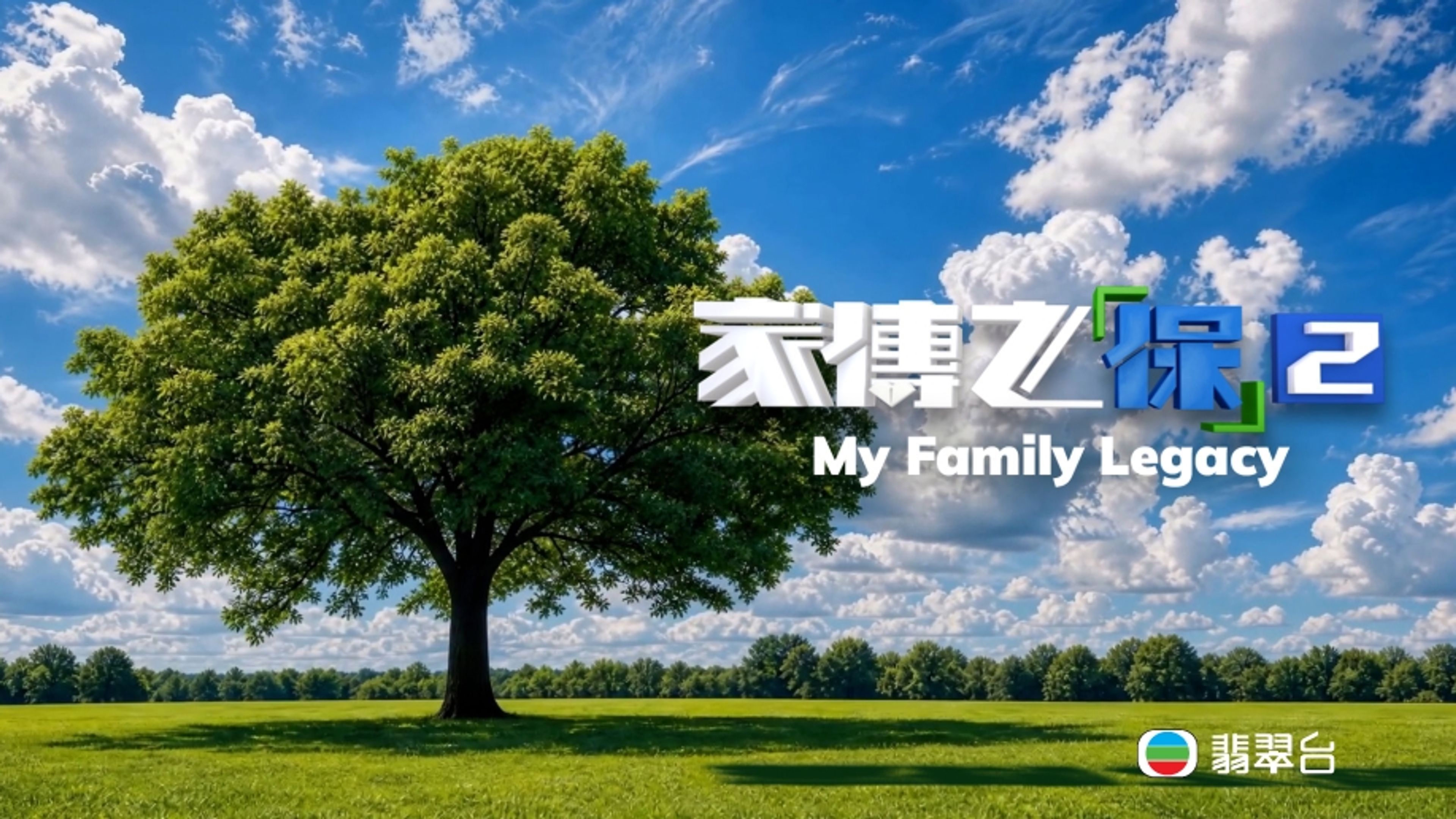My Family Legacy