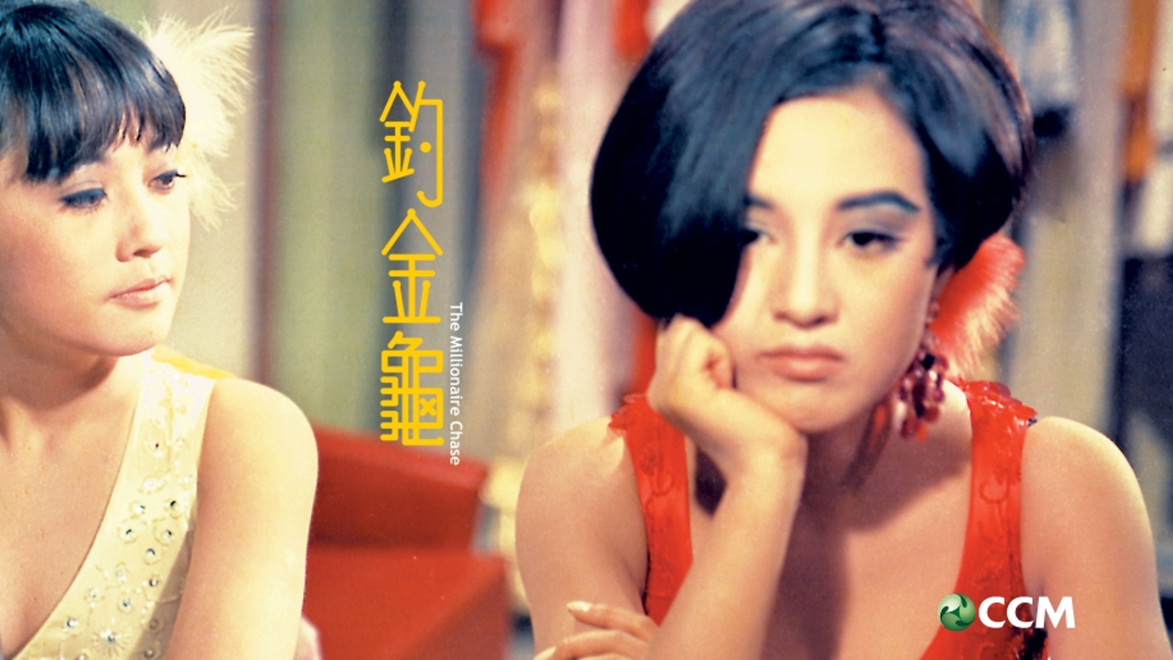 The Millionaire Chase