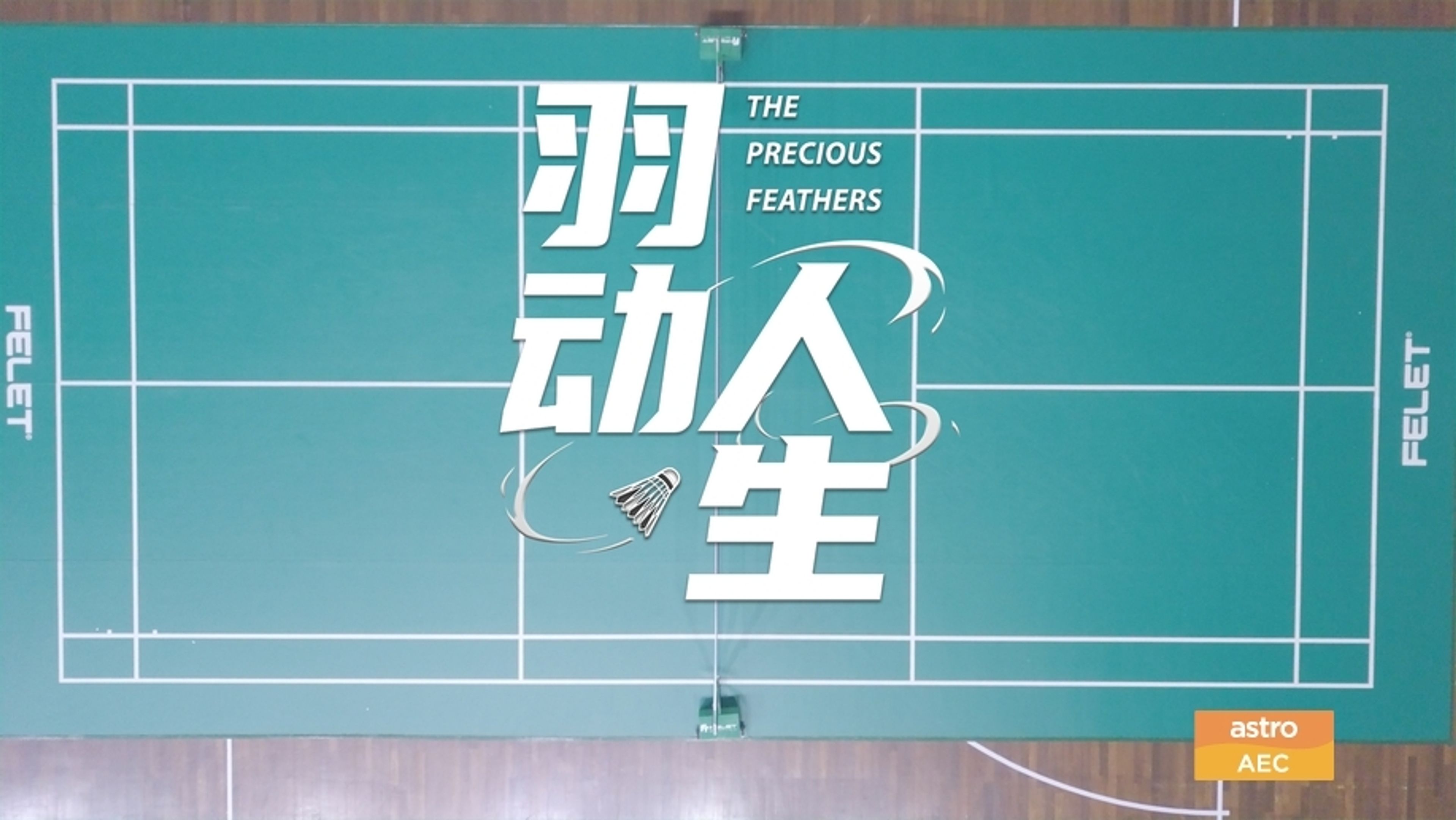 The Precious Feathers