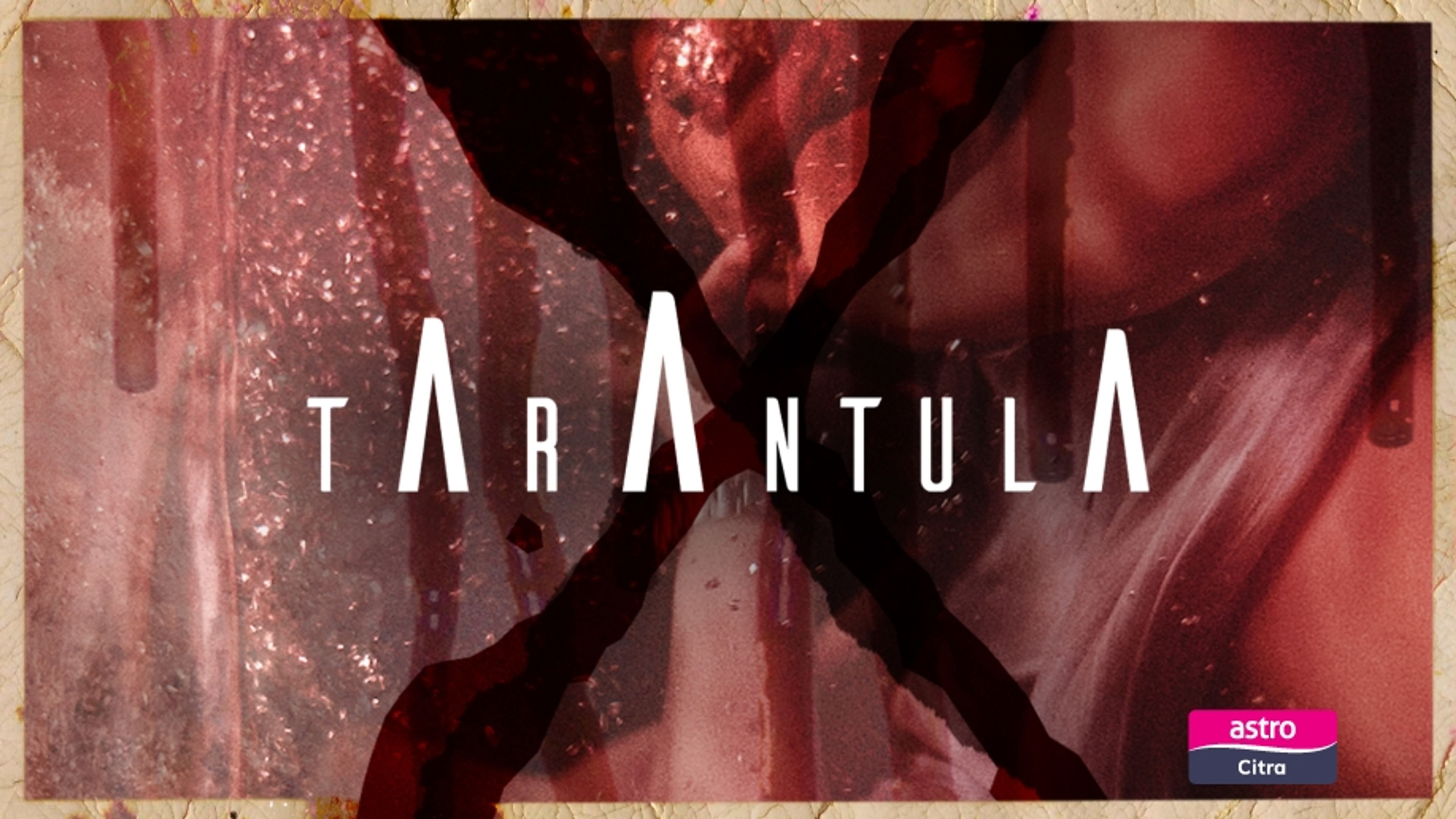 Tarantula x