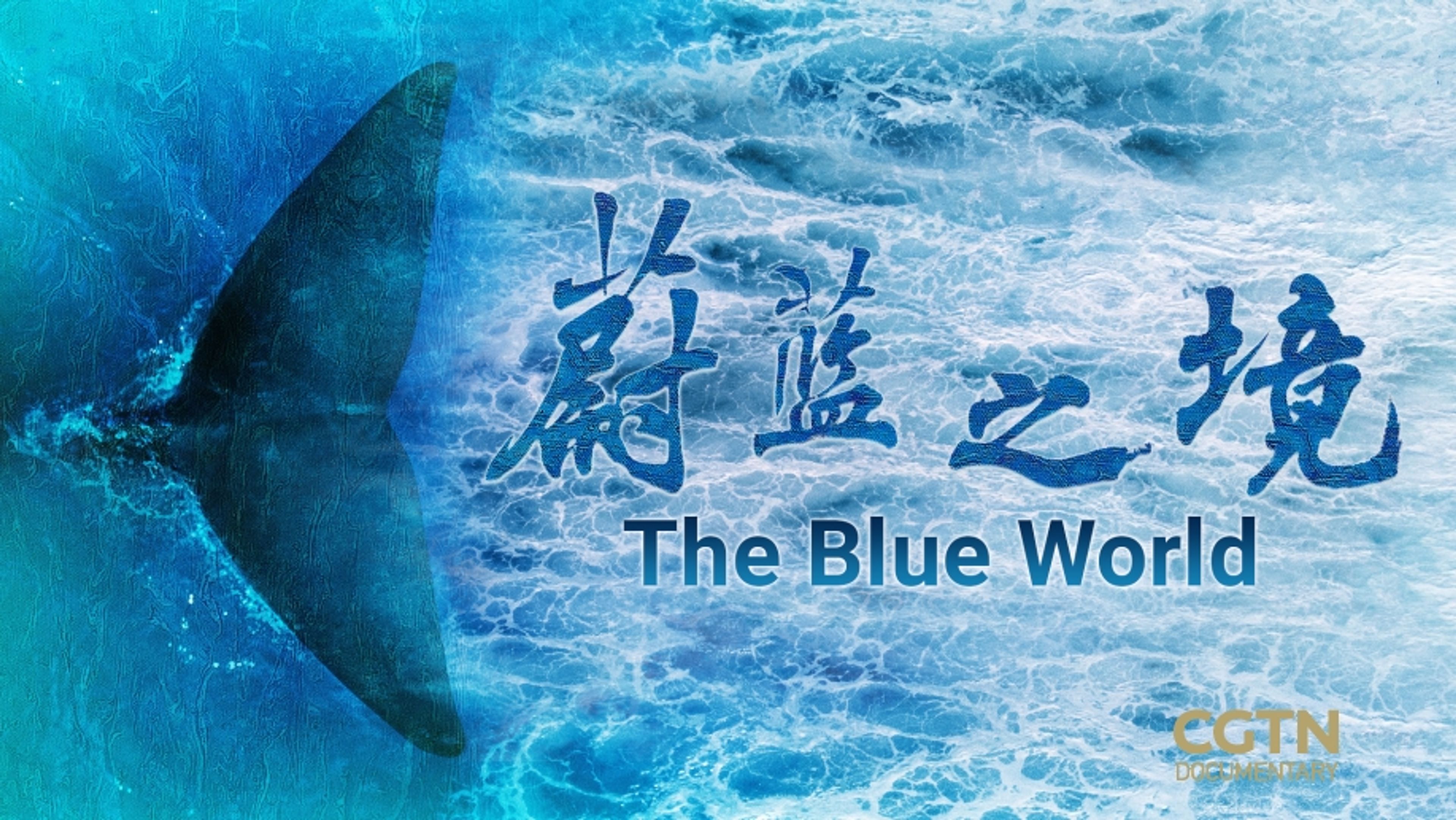 The Blue World