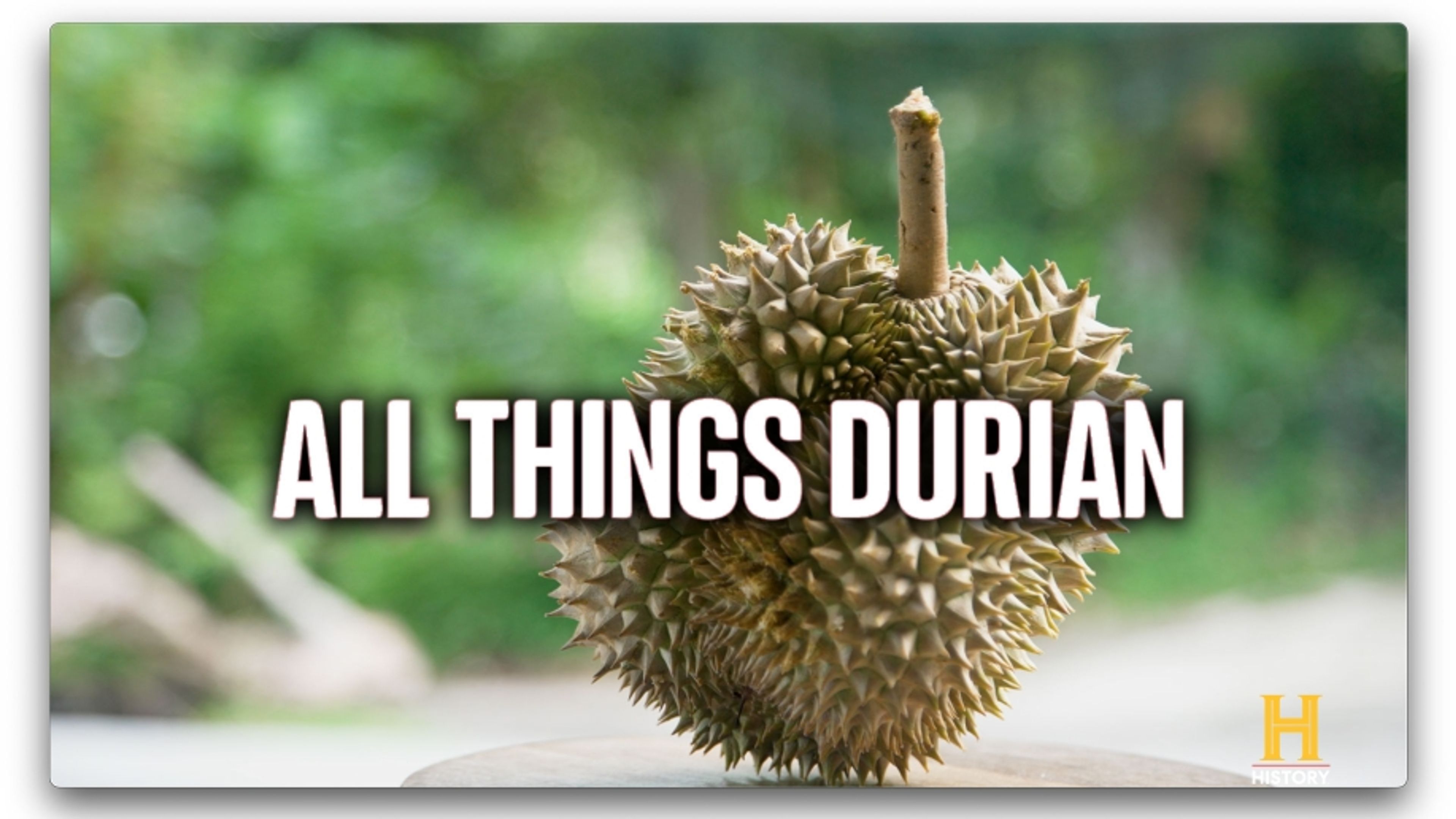 All Things Durian