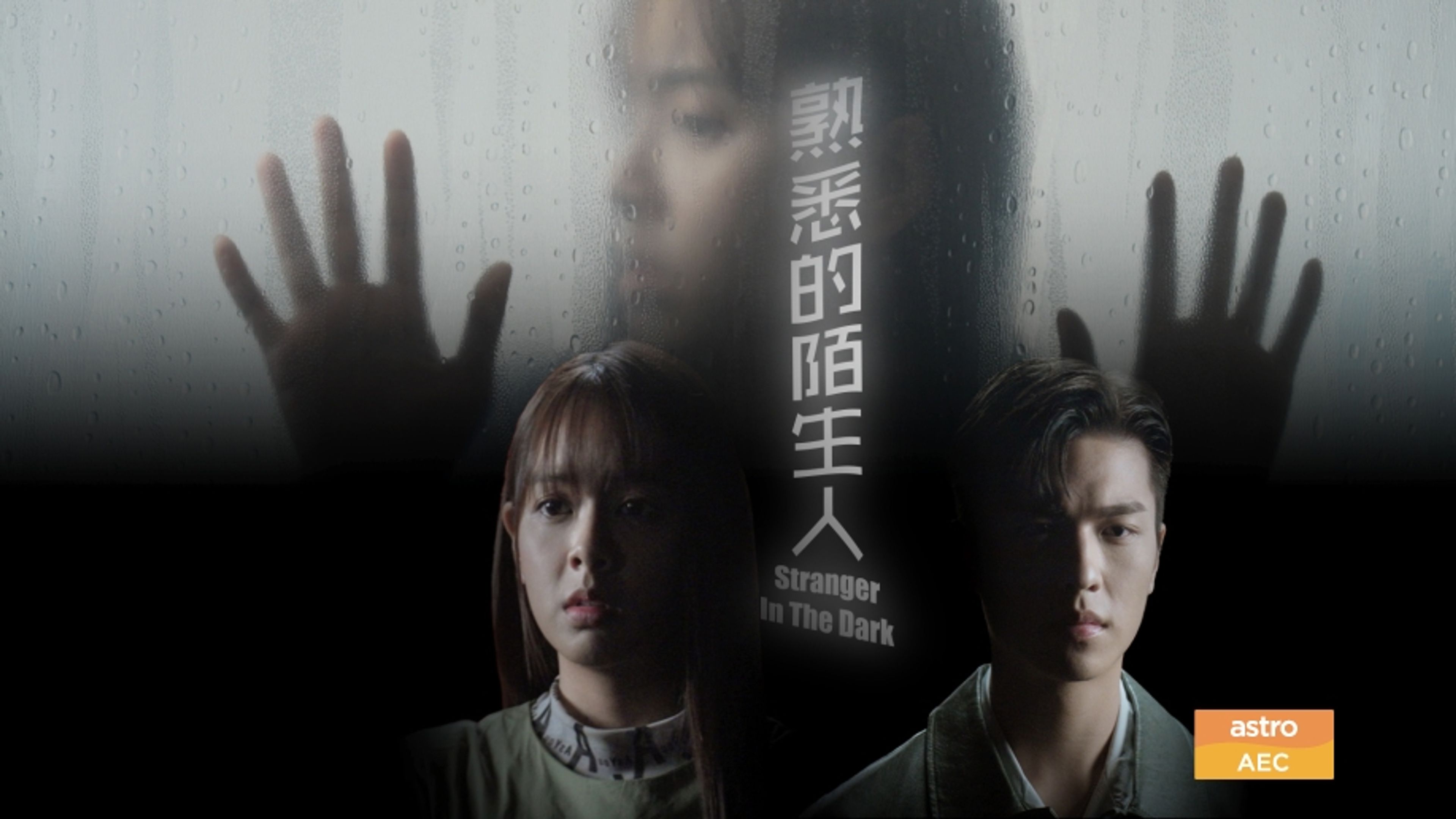 Stranger in the Dark