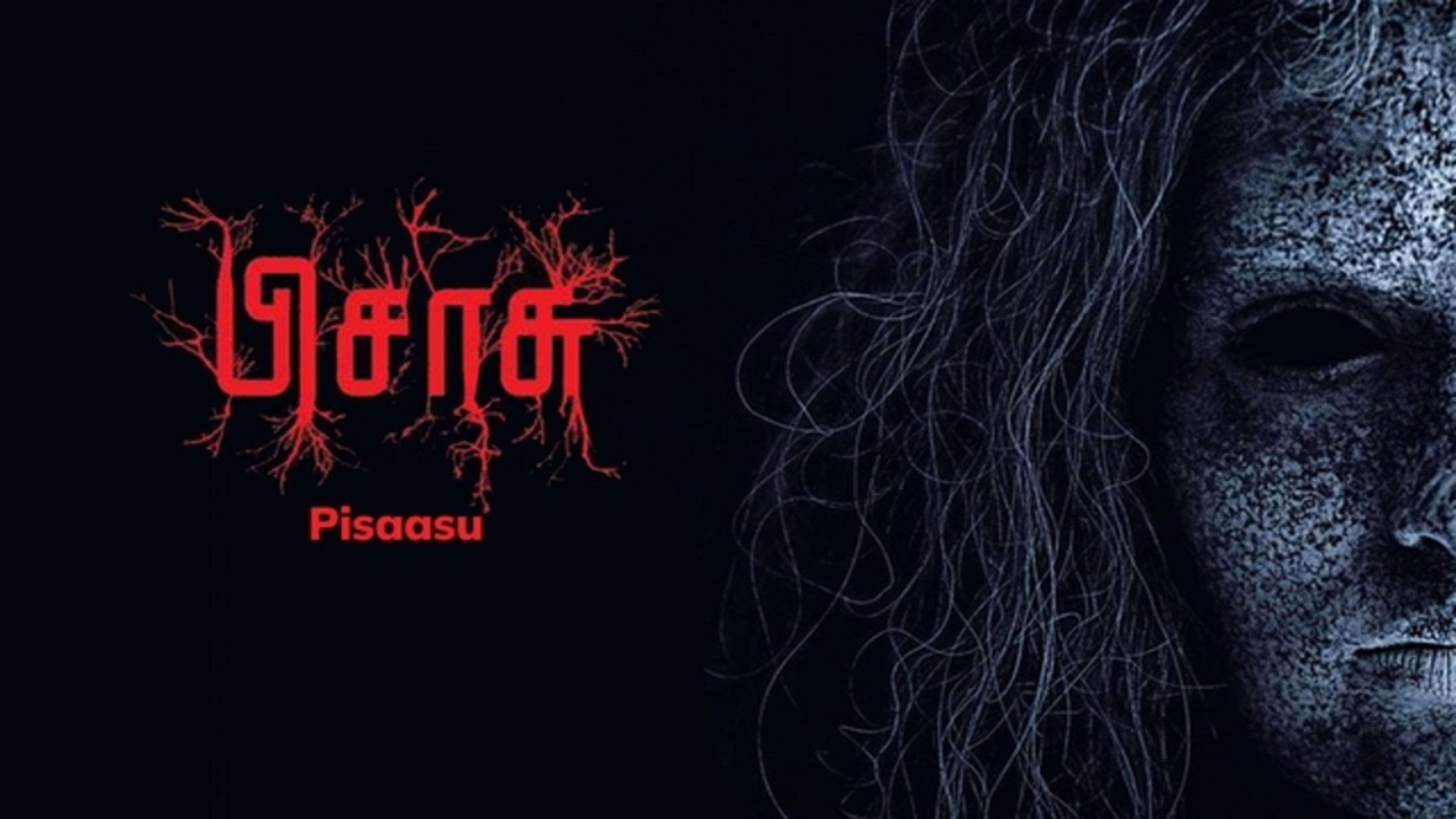 Pisaasu