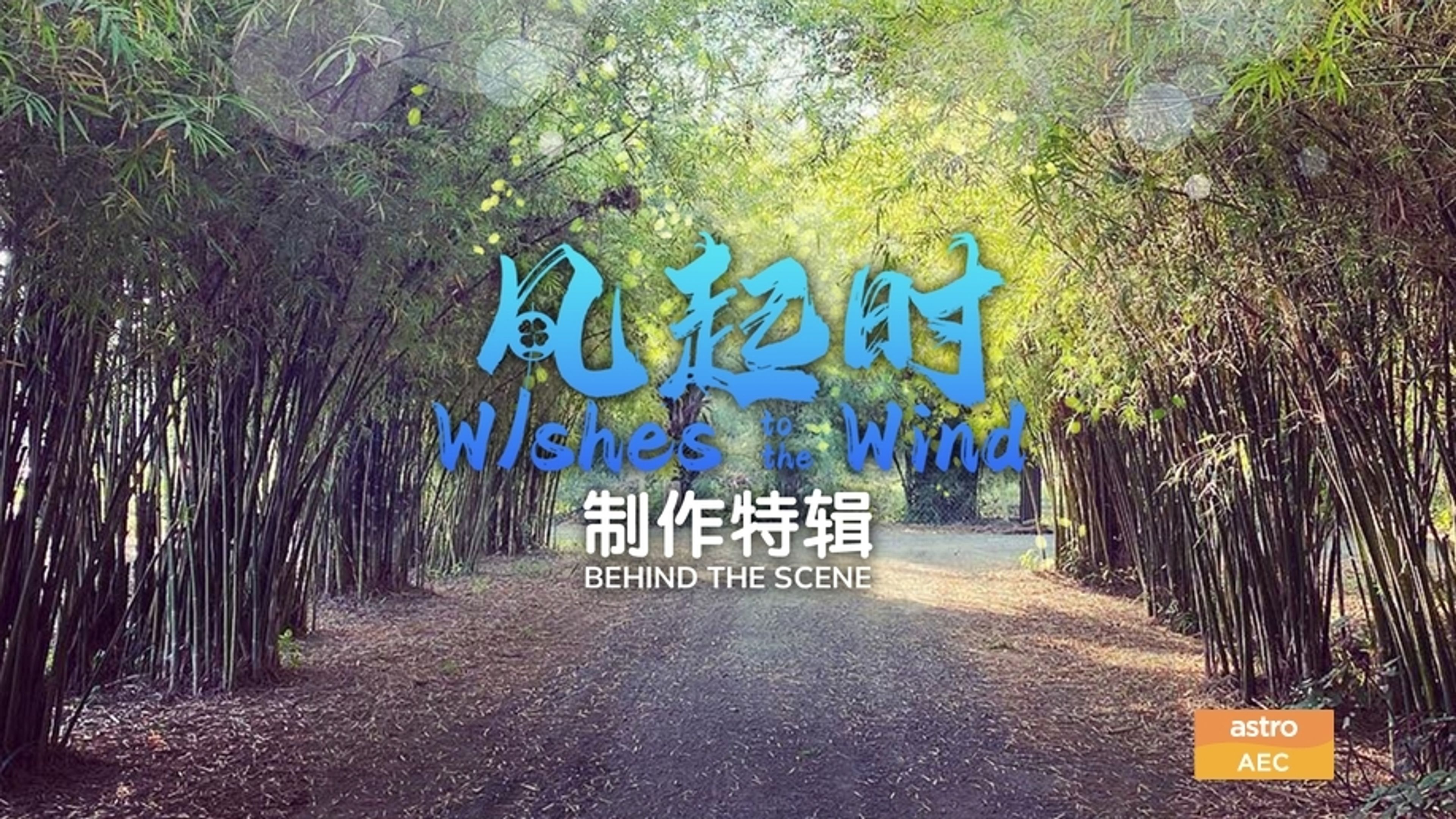 Wishes to the Wind - Behind the Scene