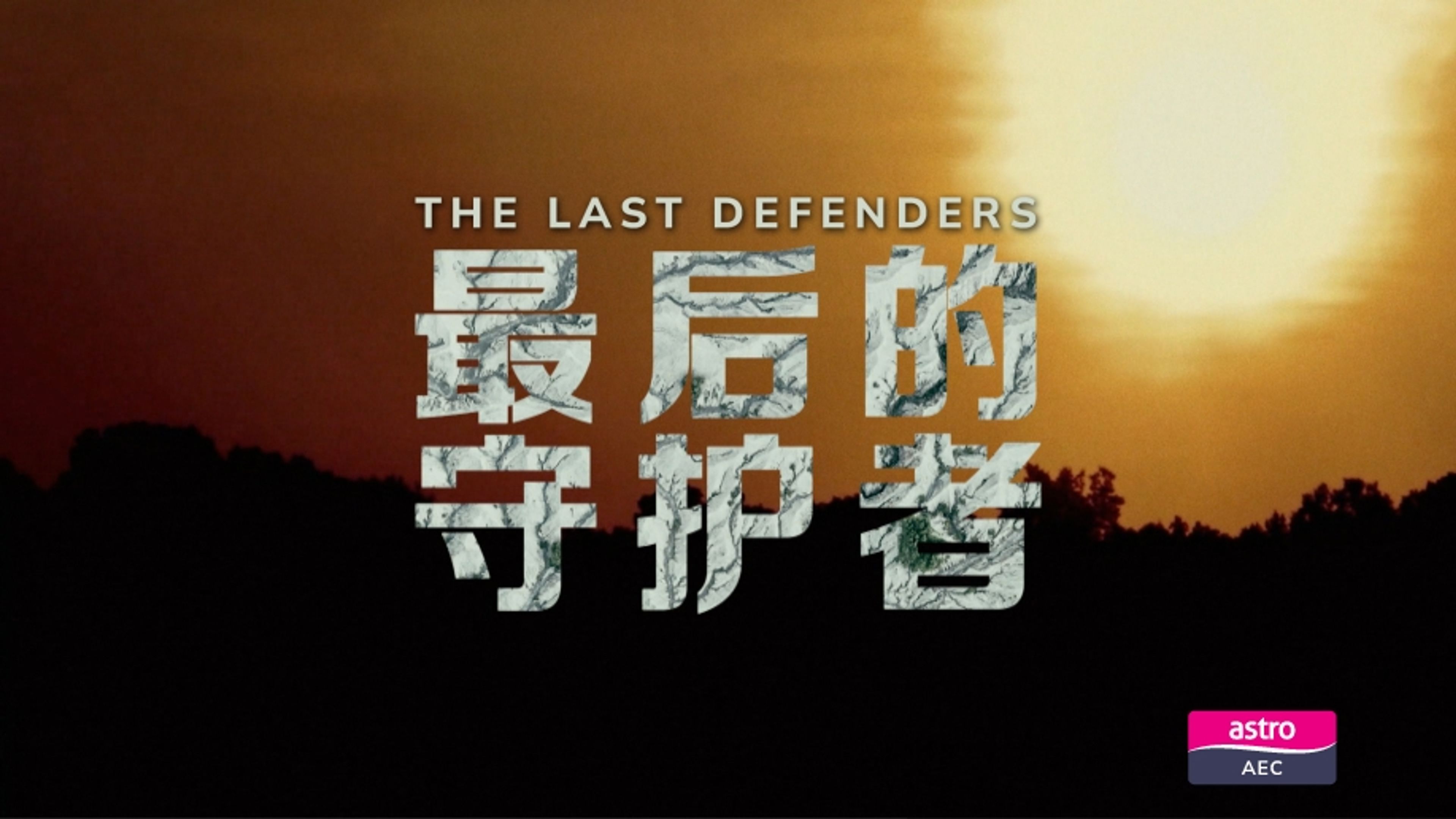 The Last Defenders
