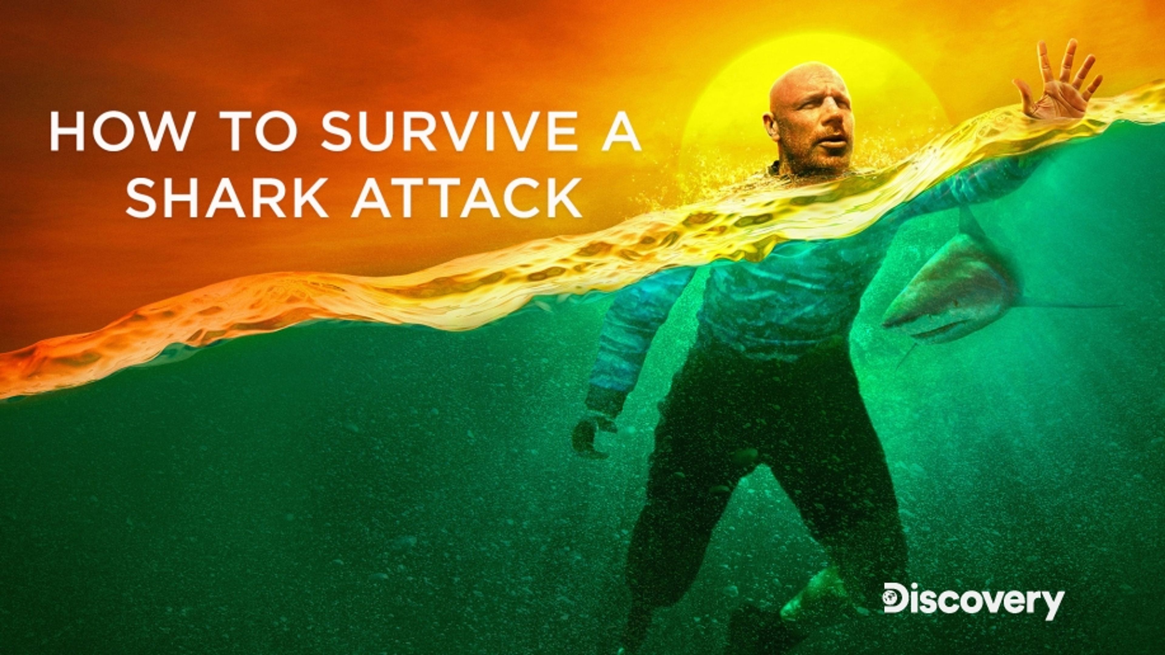 How To Survive A Shark Attack