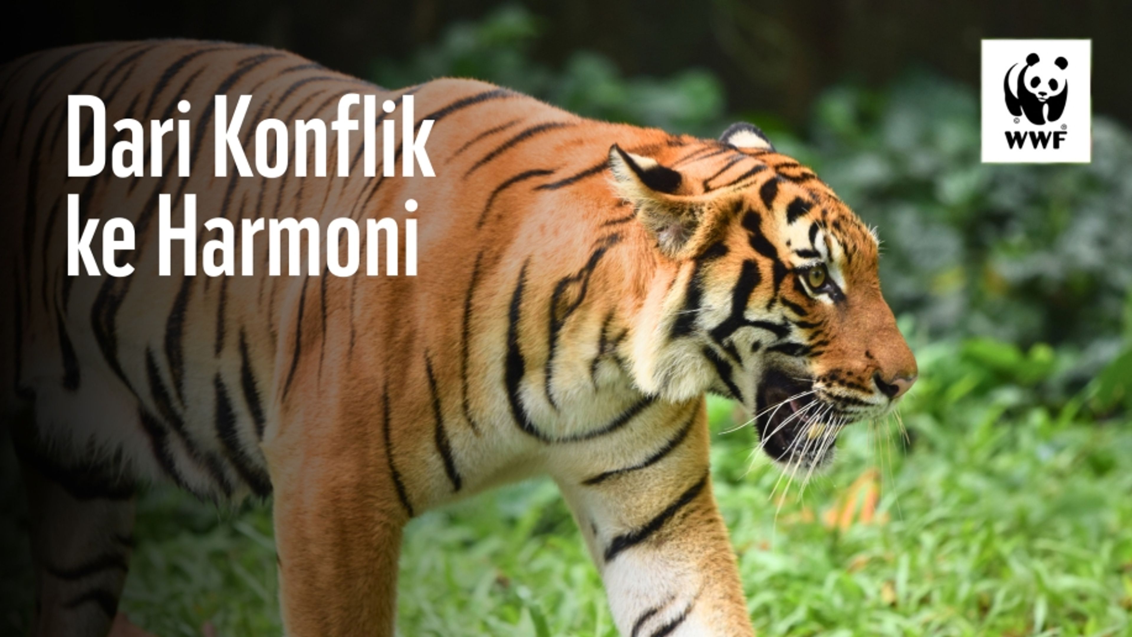 Dari Konflik Ke Harmoni (WWF)