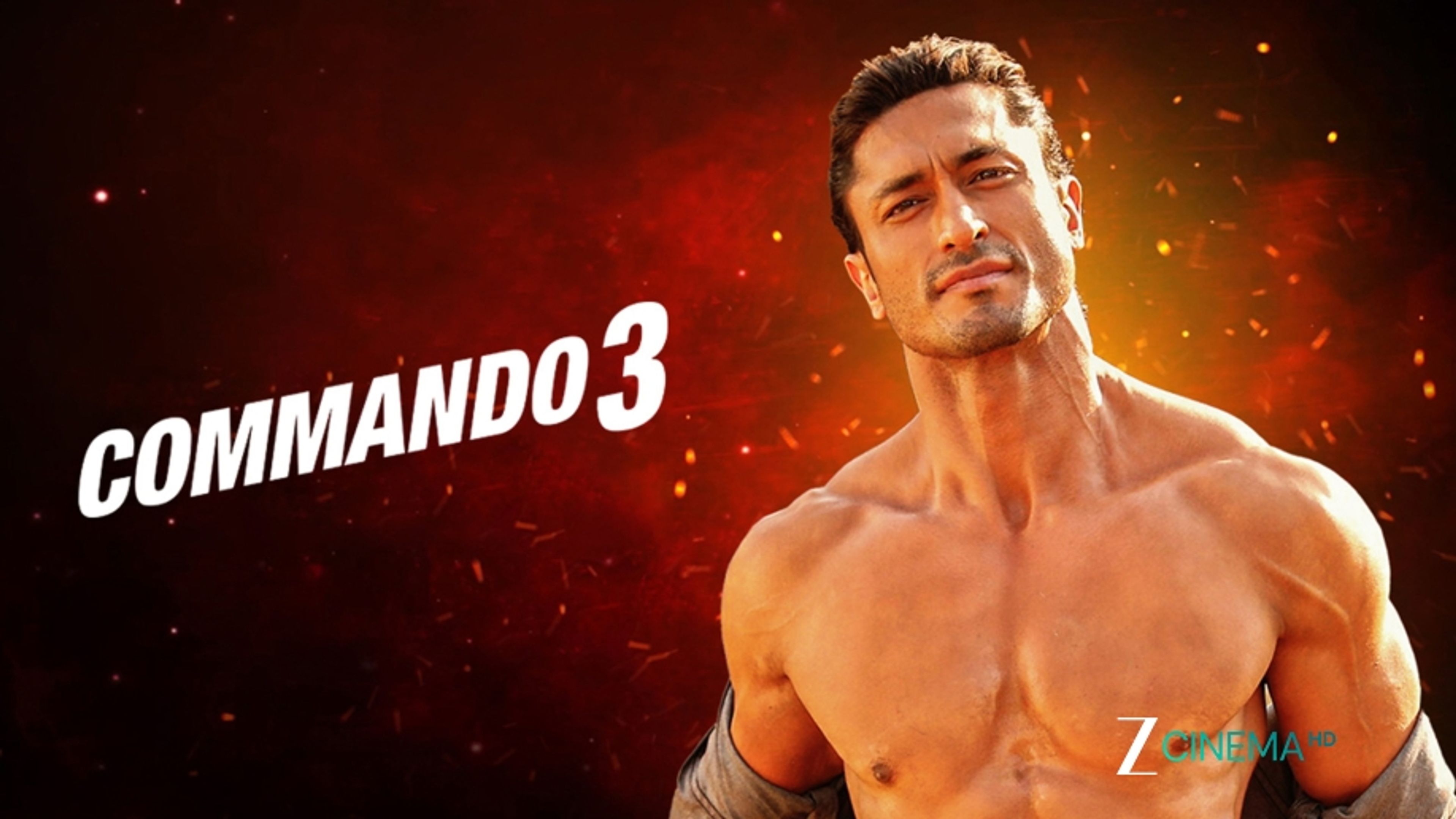 Commando 3
