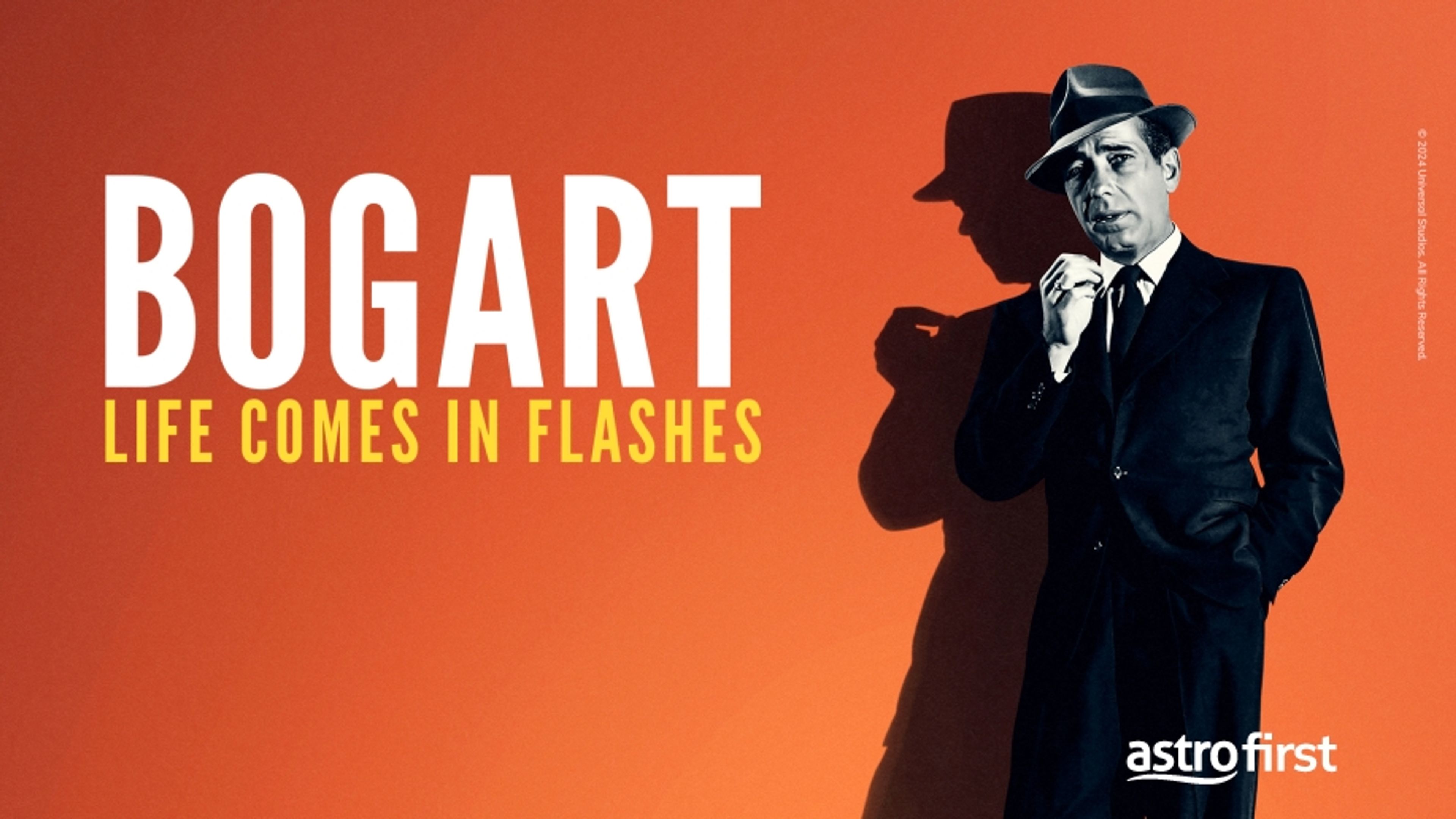 Bogart: Life Comes in Flashes