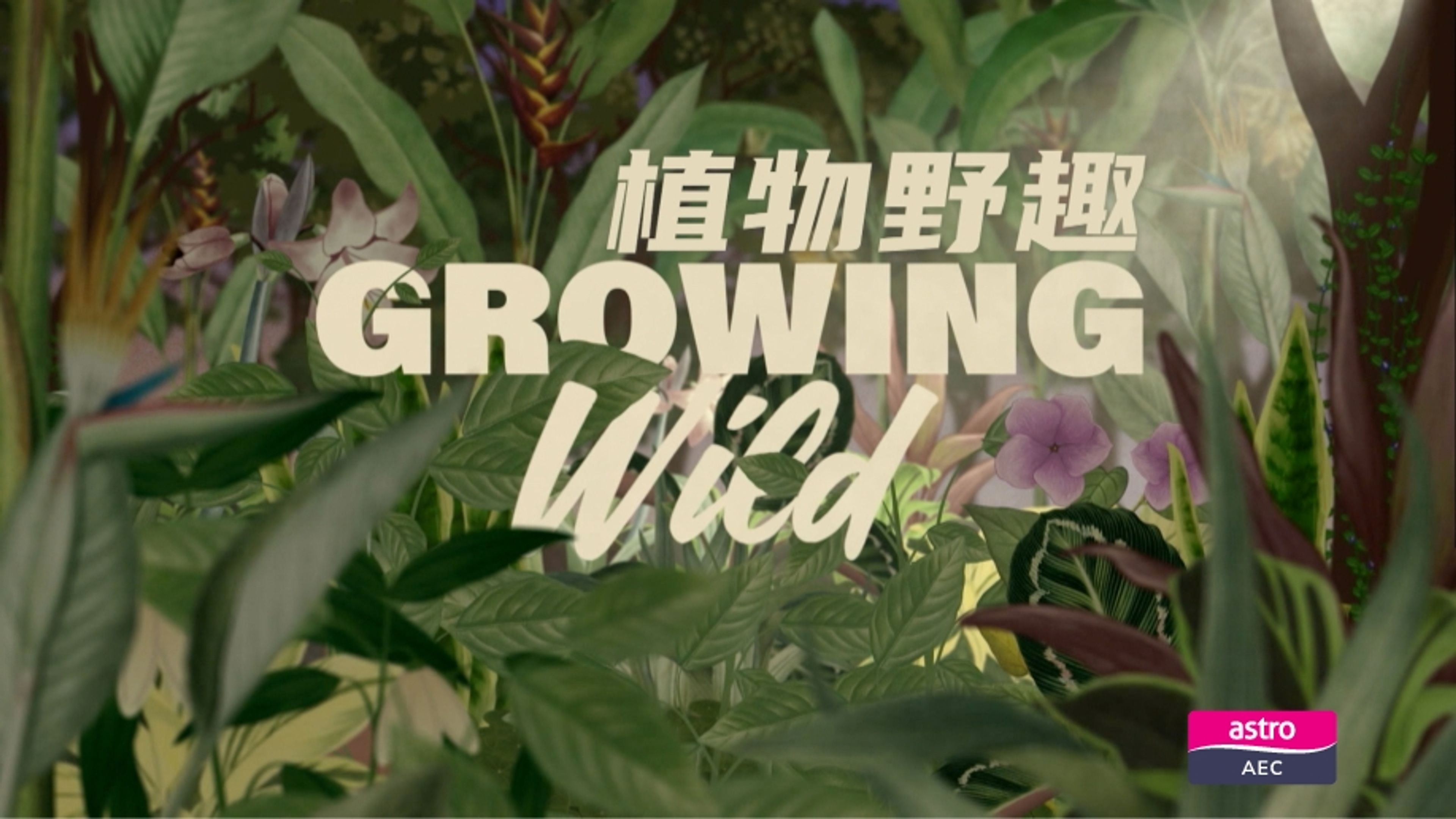 Growing Wild