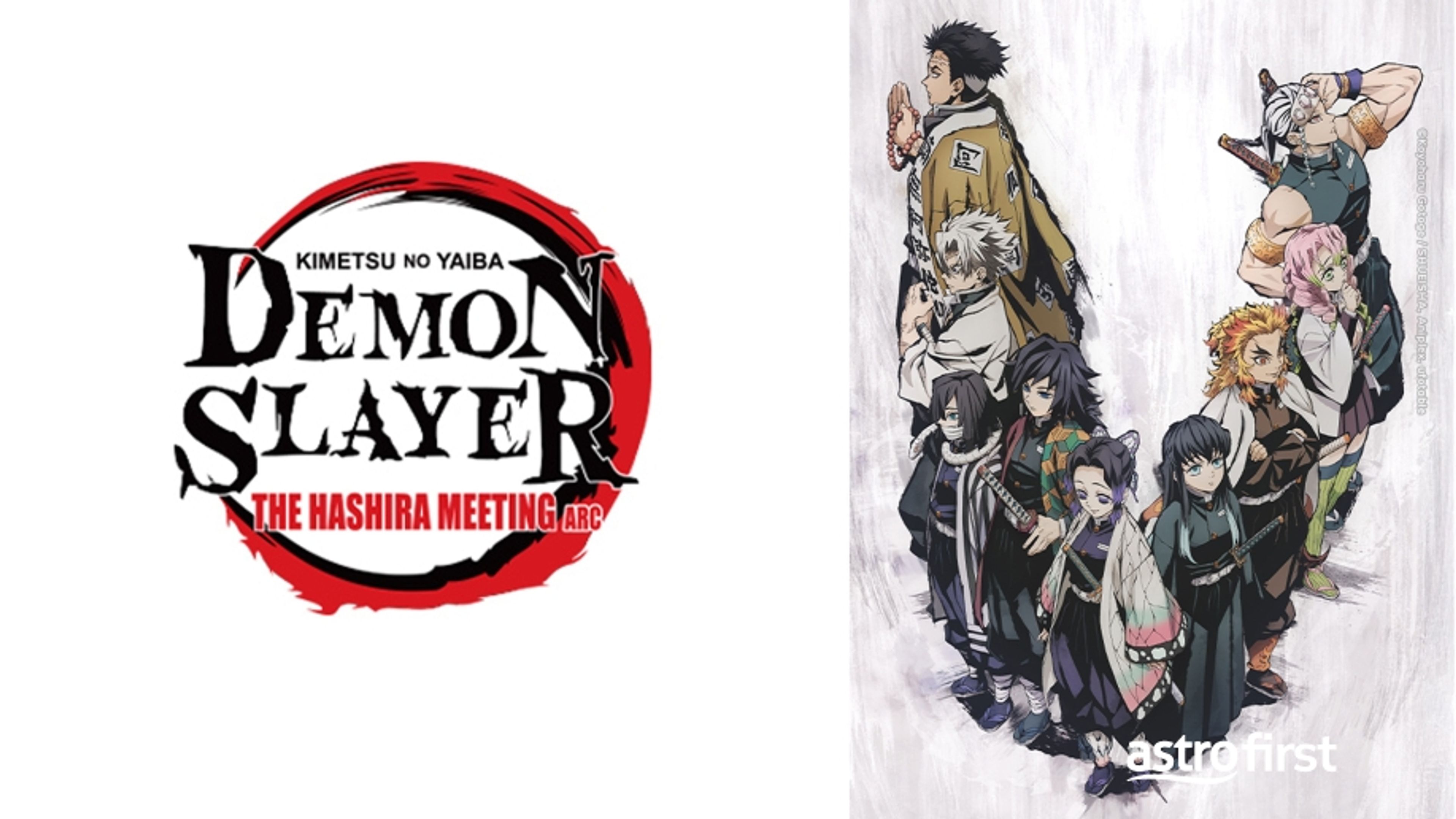 Demon Slayer: The Hashira Meeting Arc