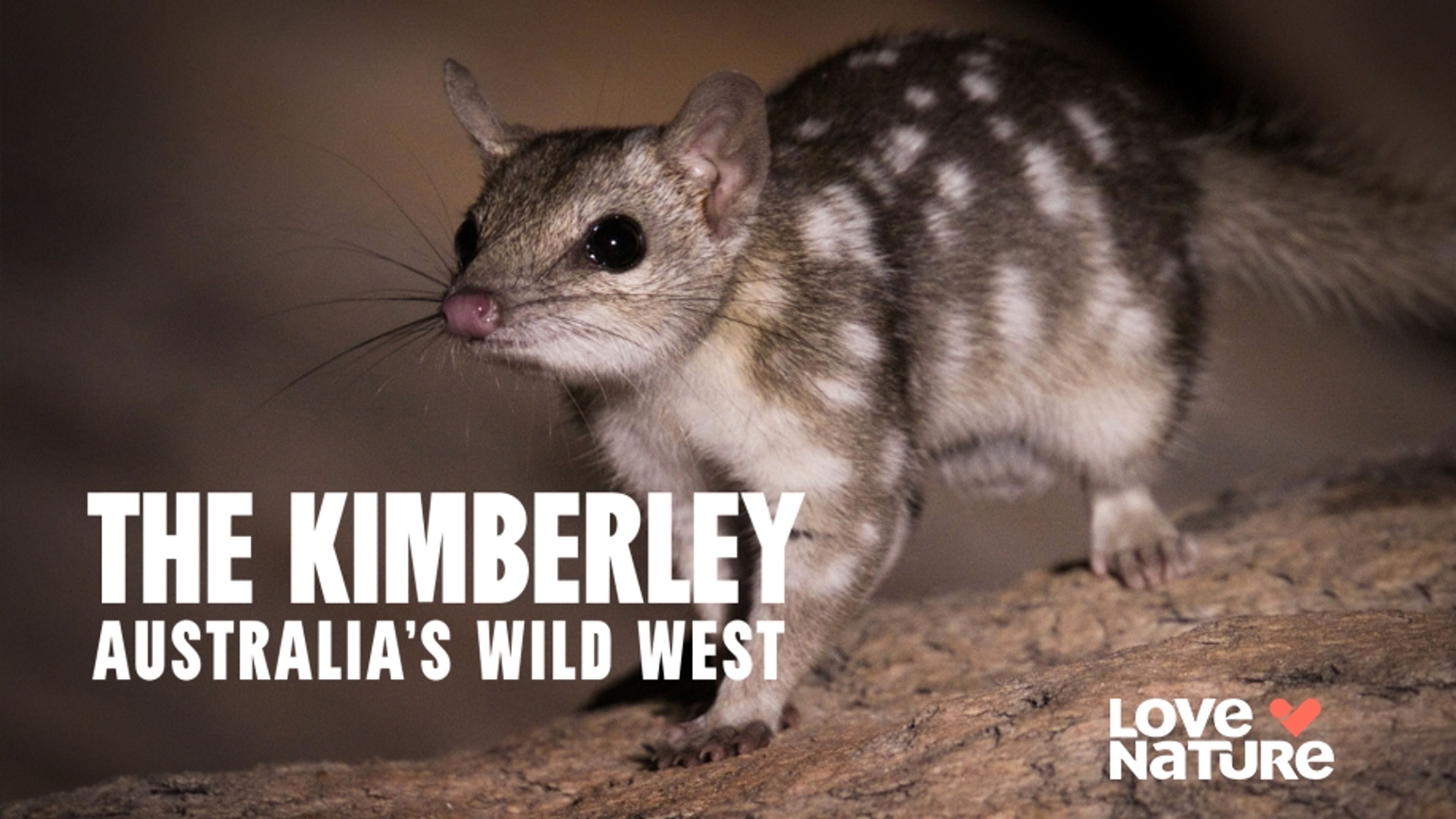 The Kimberley Australia's Wild West: Tidal Territory