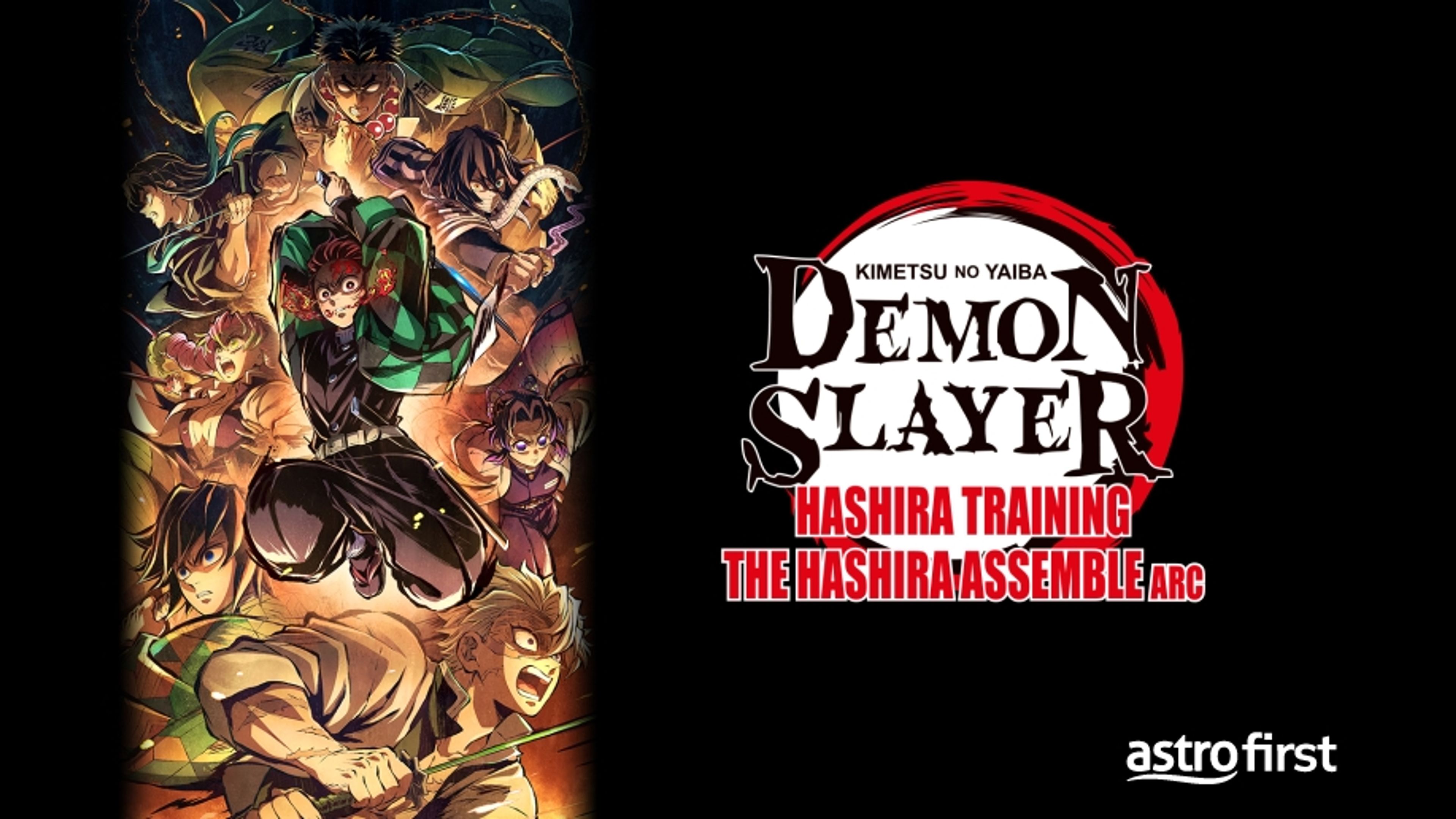 Demon Slayer: Kimetsu no Yaiba: Hashira Training – The Hashira Assemble Arc