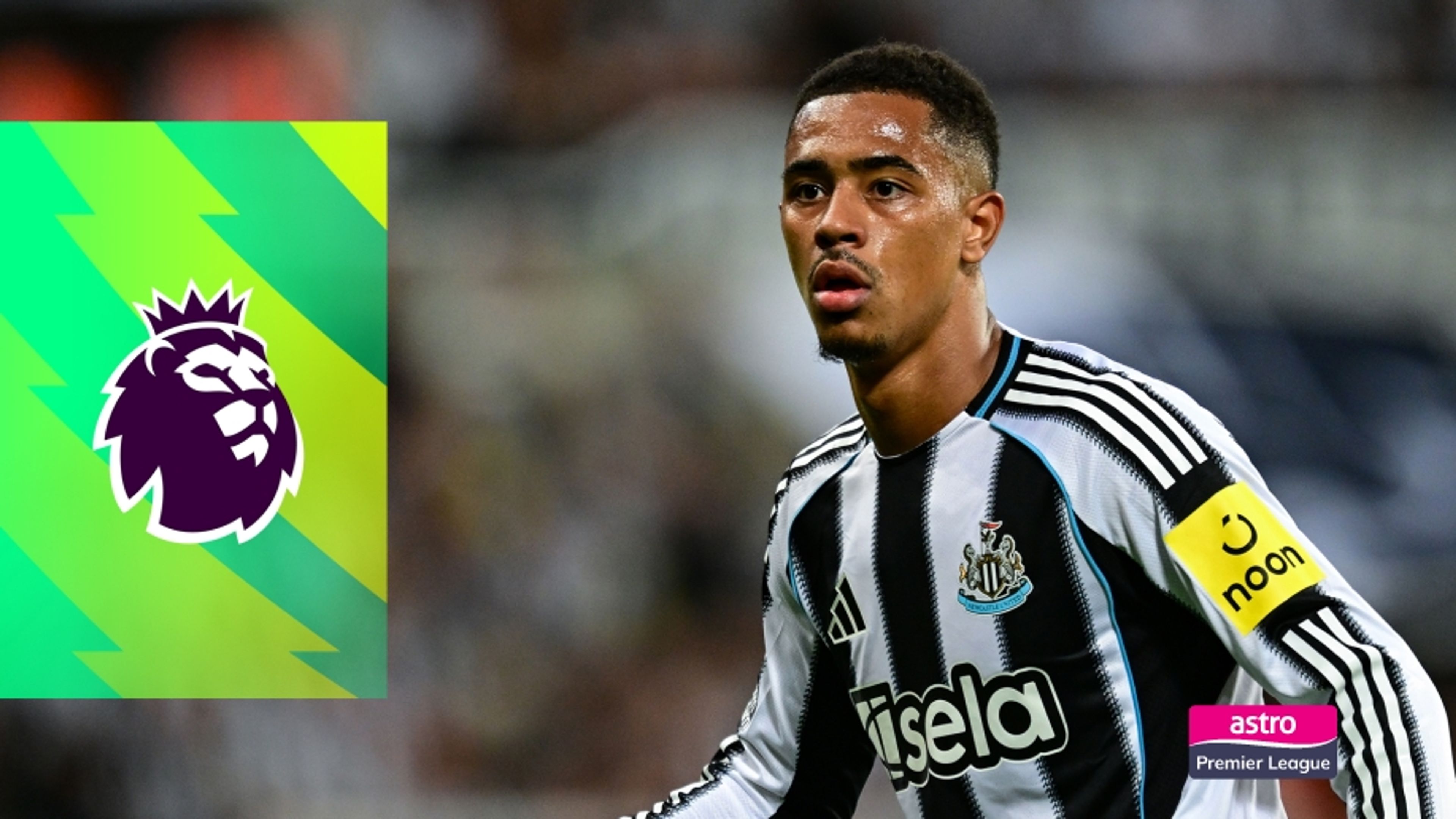 MW 35: Newcastle United vs. Brighton & Hove Albion