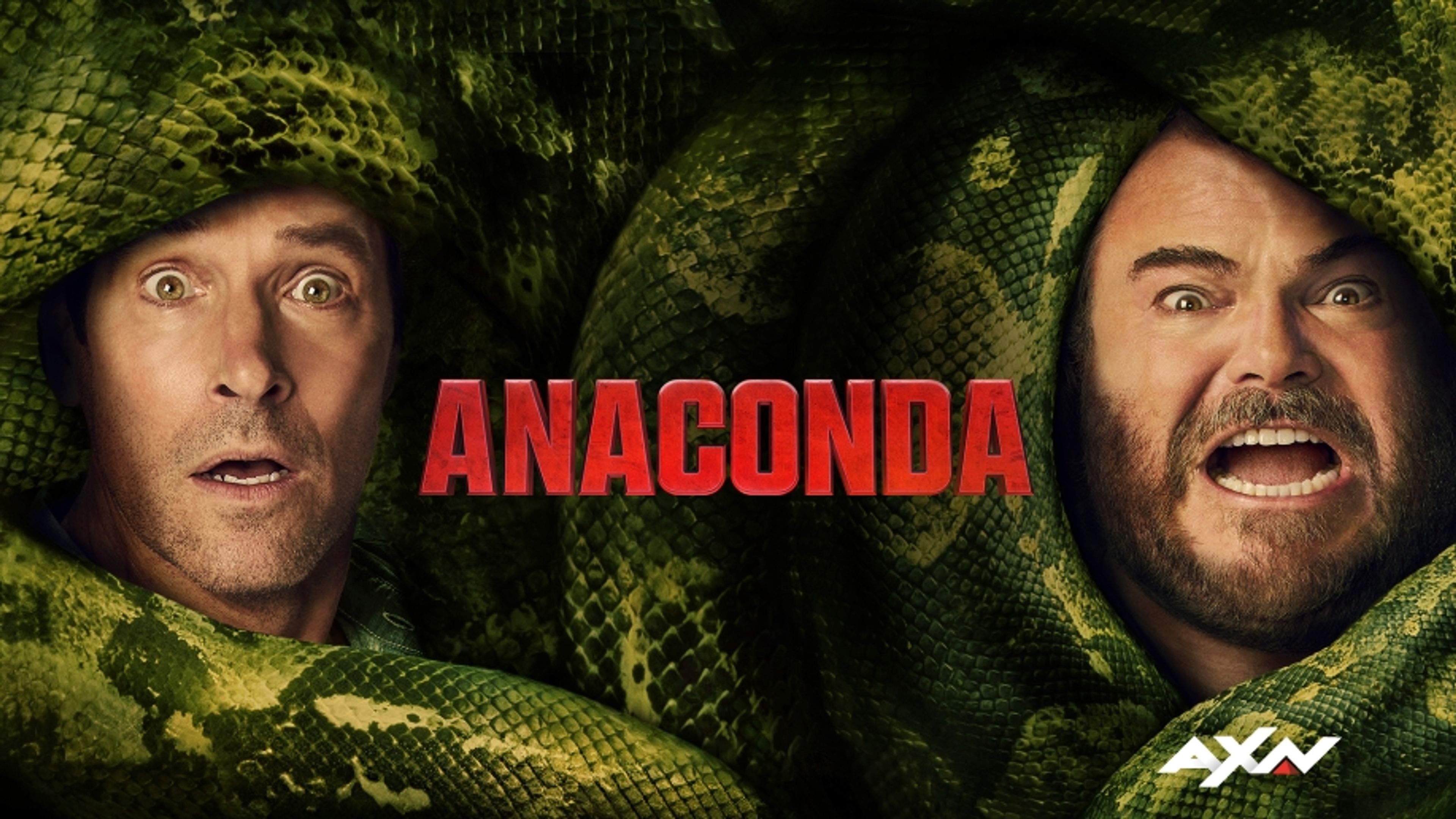 Anaconda