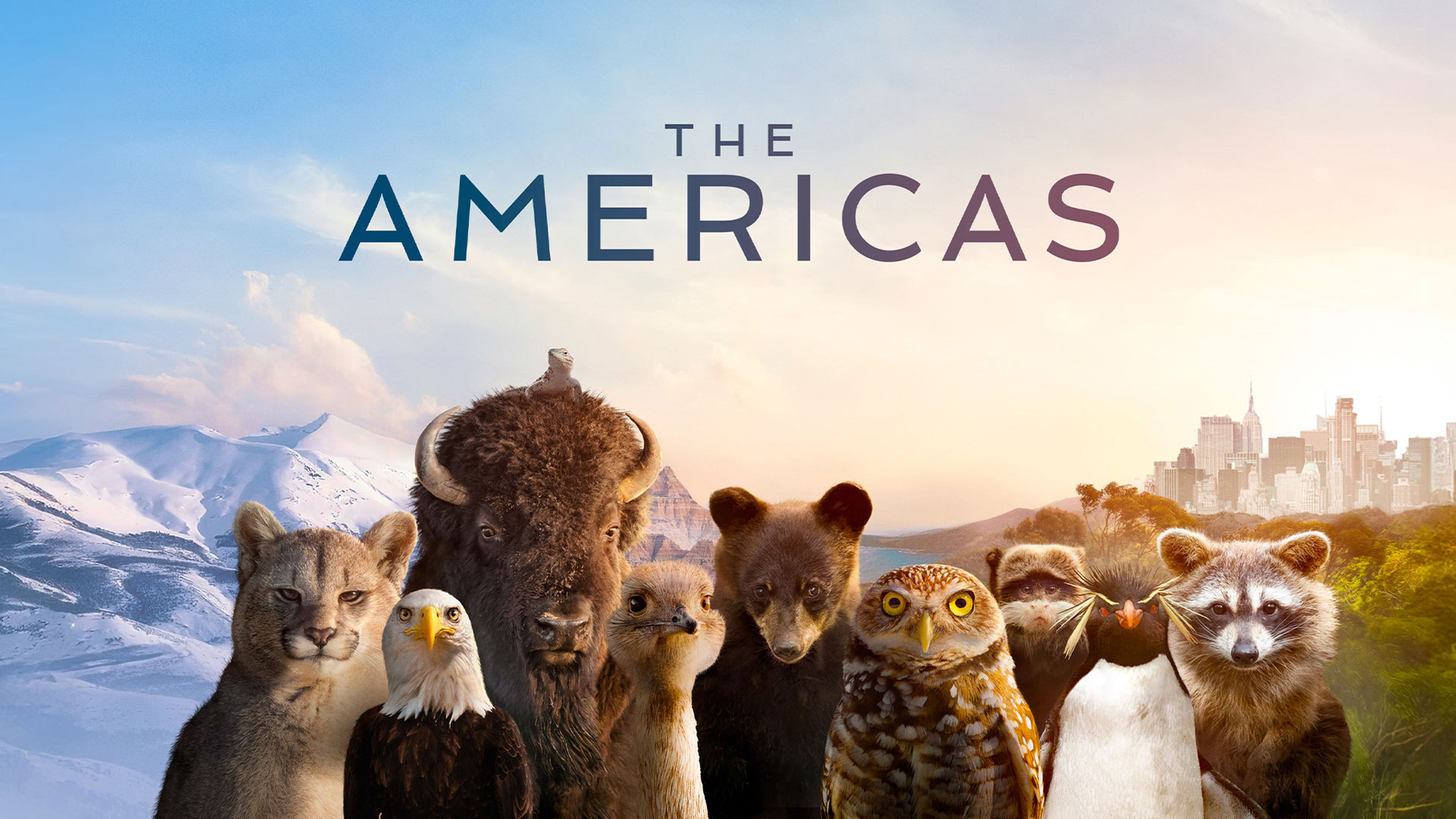 THE AMERICAS S1