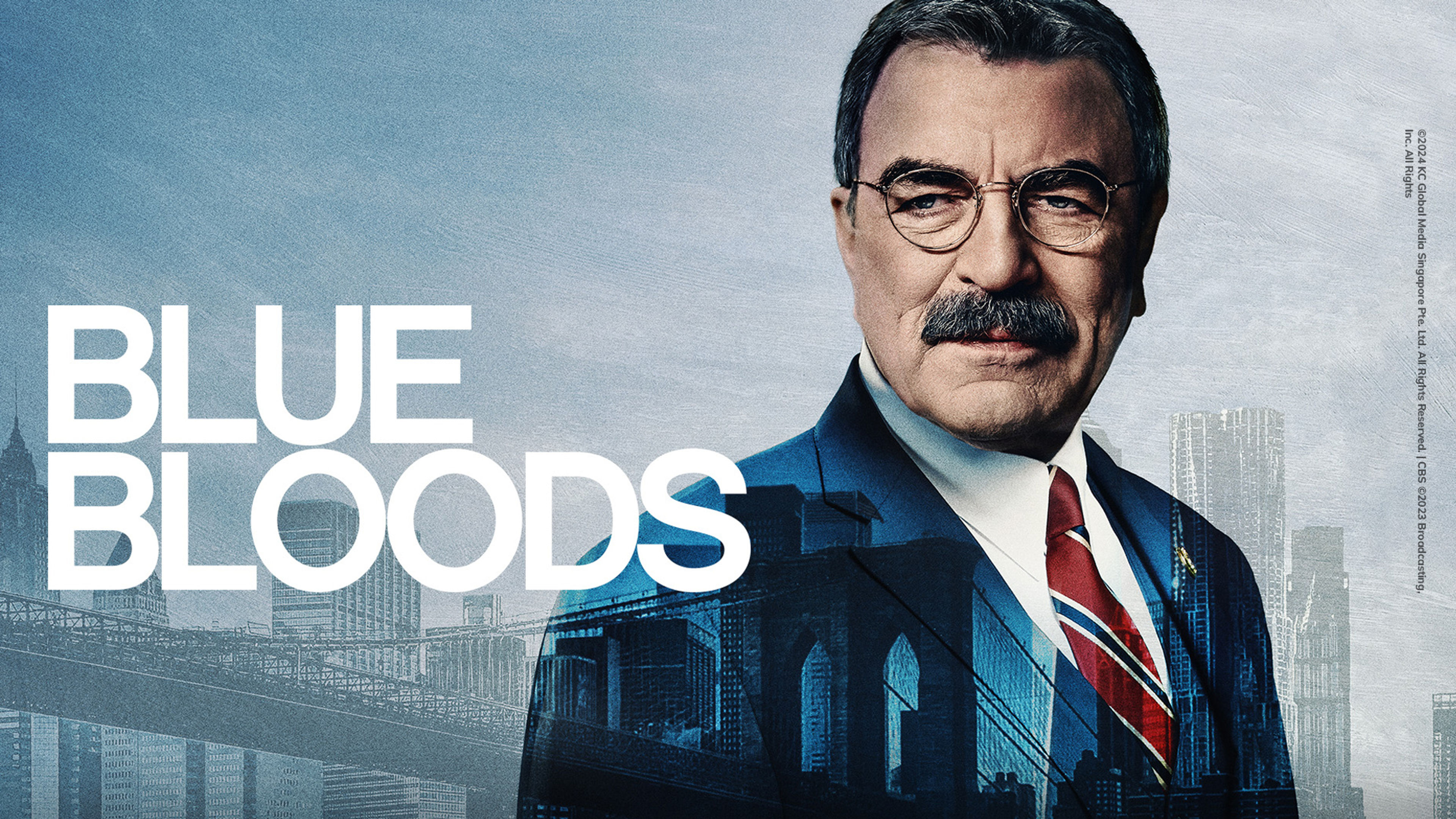 BLUE BLOODS S14