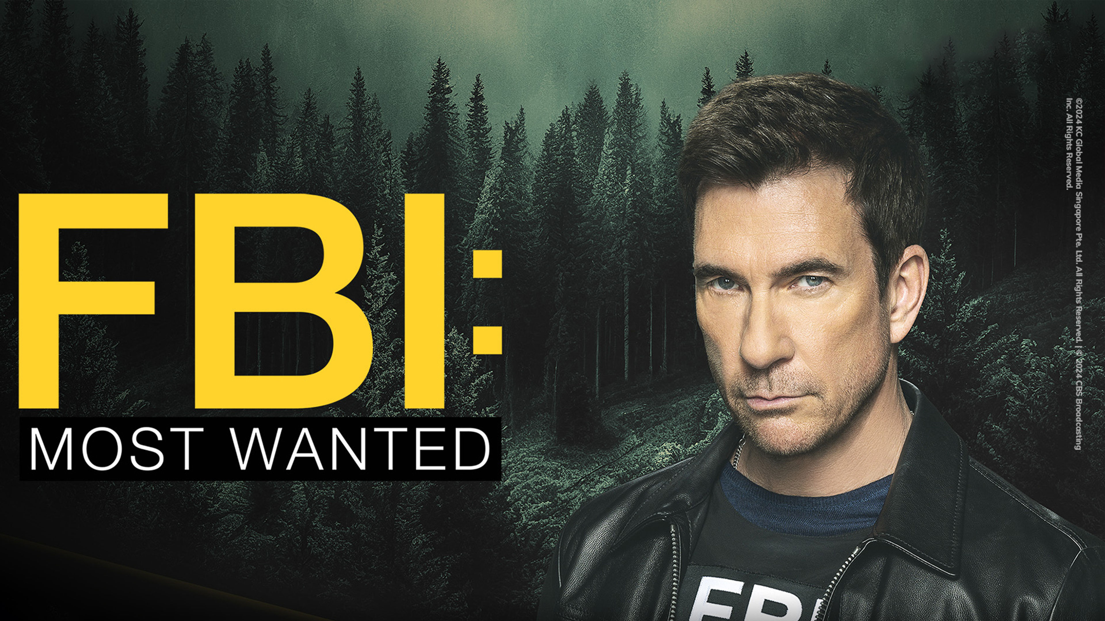 FBI: MOST WANTED S5