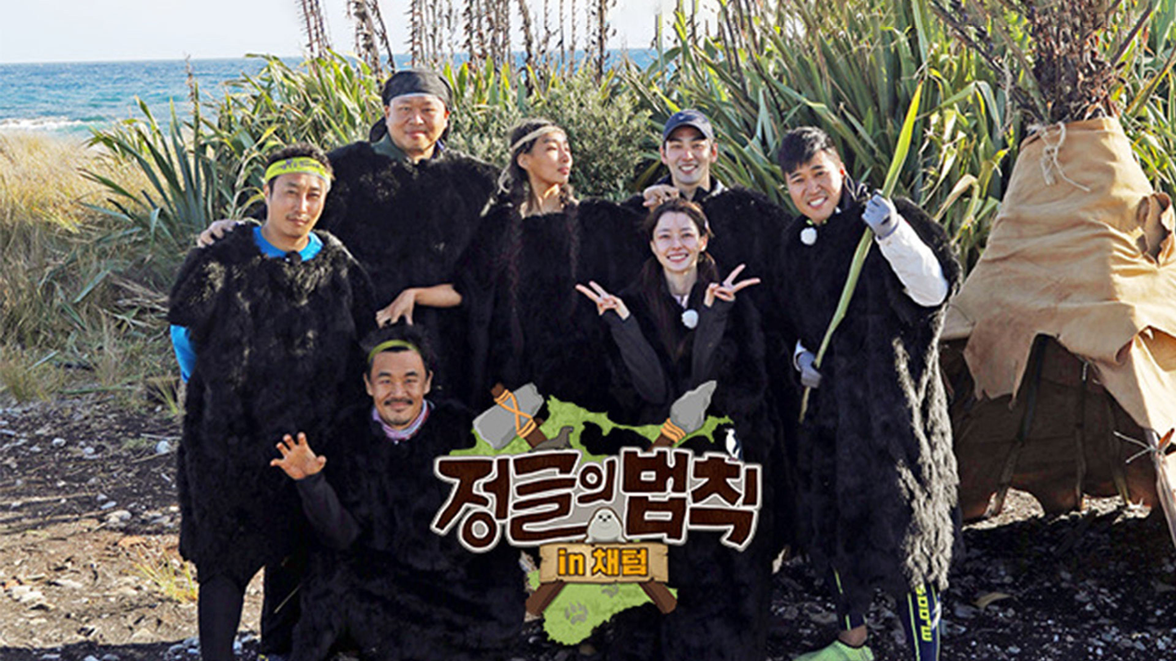 Law of the Jungle in Chatham Islands