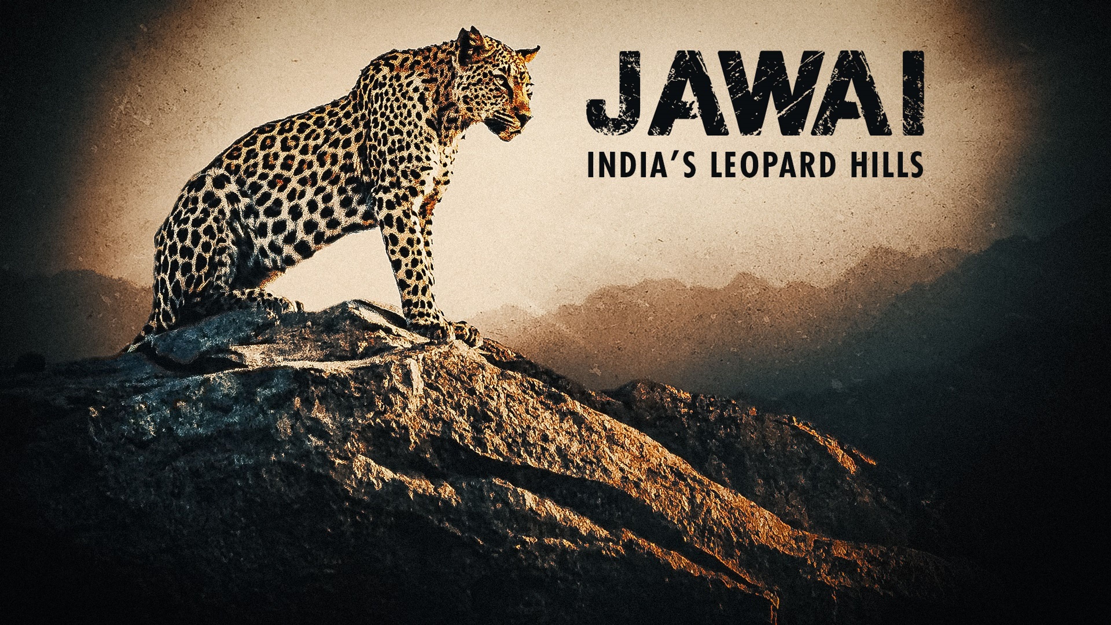 Jawai: India's Leopard Hills