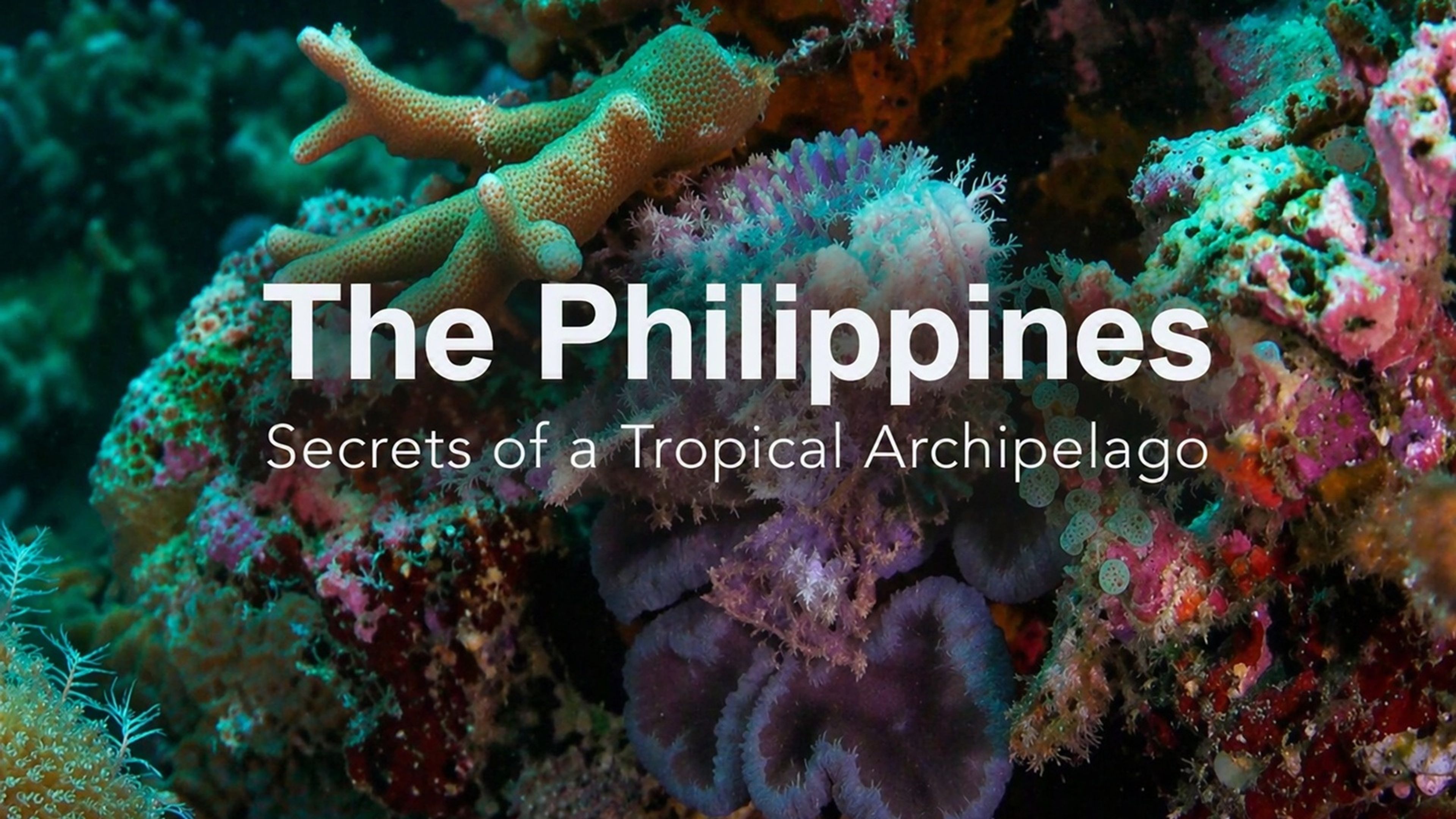 The Philippines - Secrets of a Tropical Archipelago S1