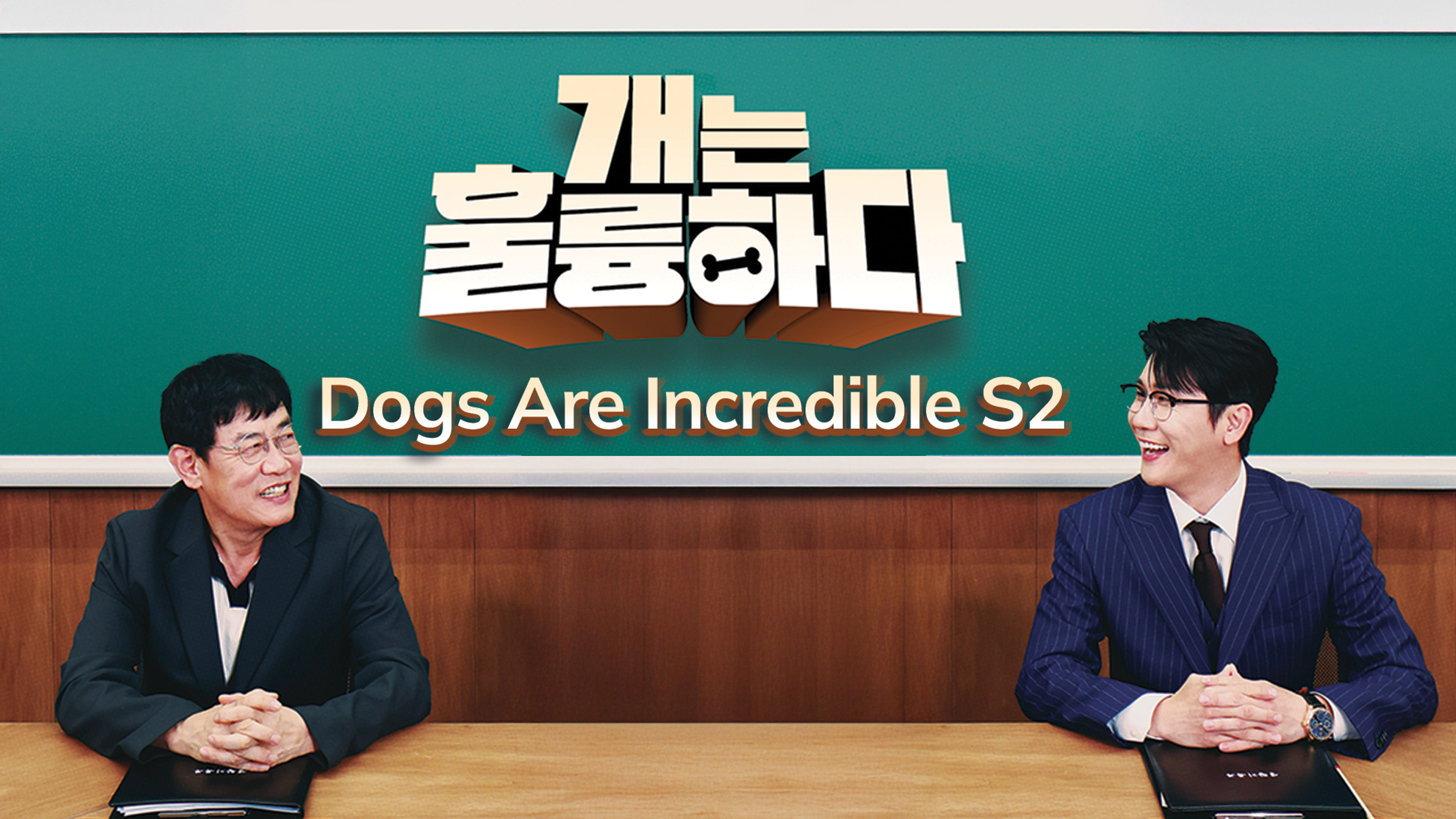 Dogs Are Incredible S2