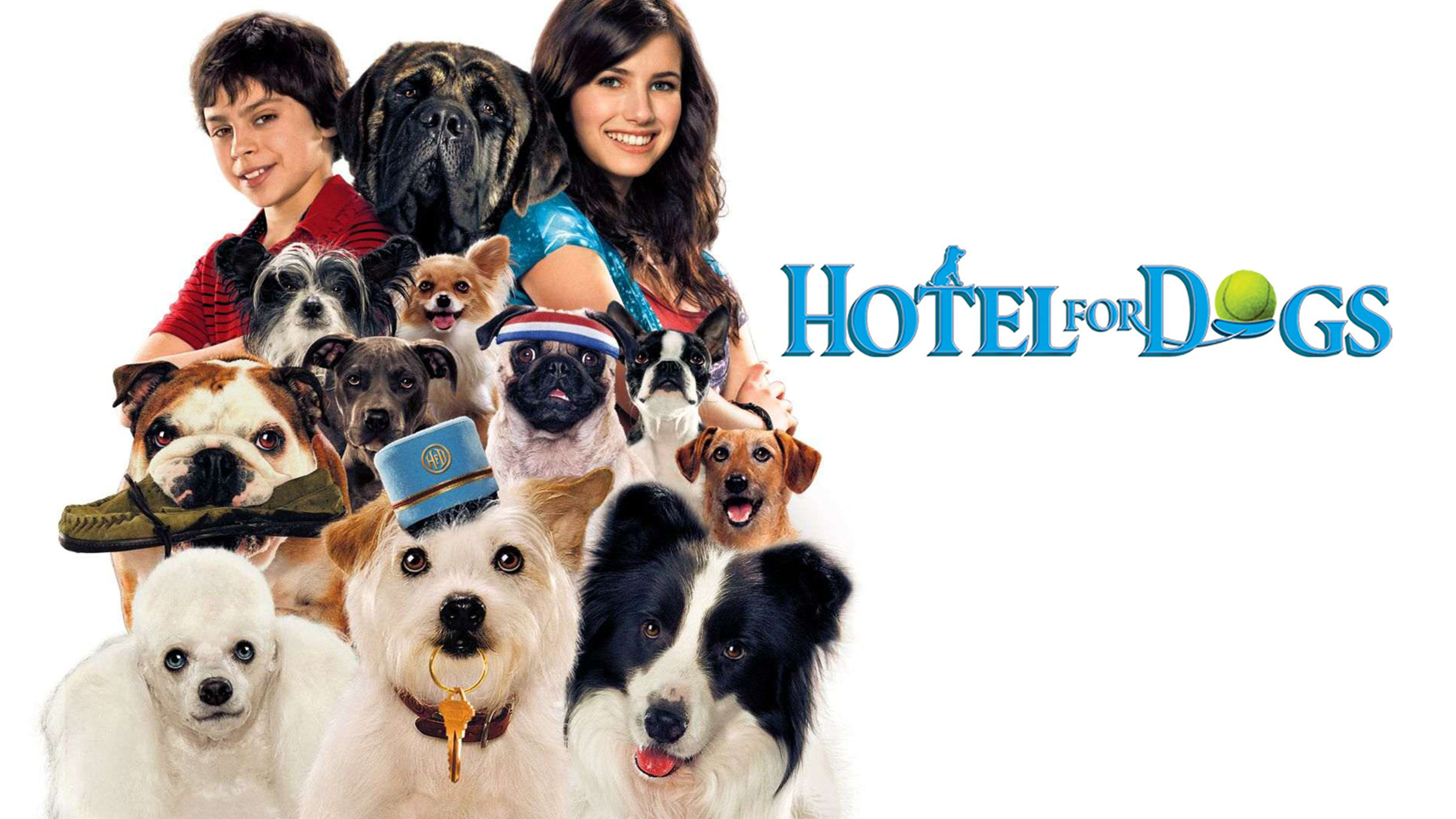 Hotel for Dogs