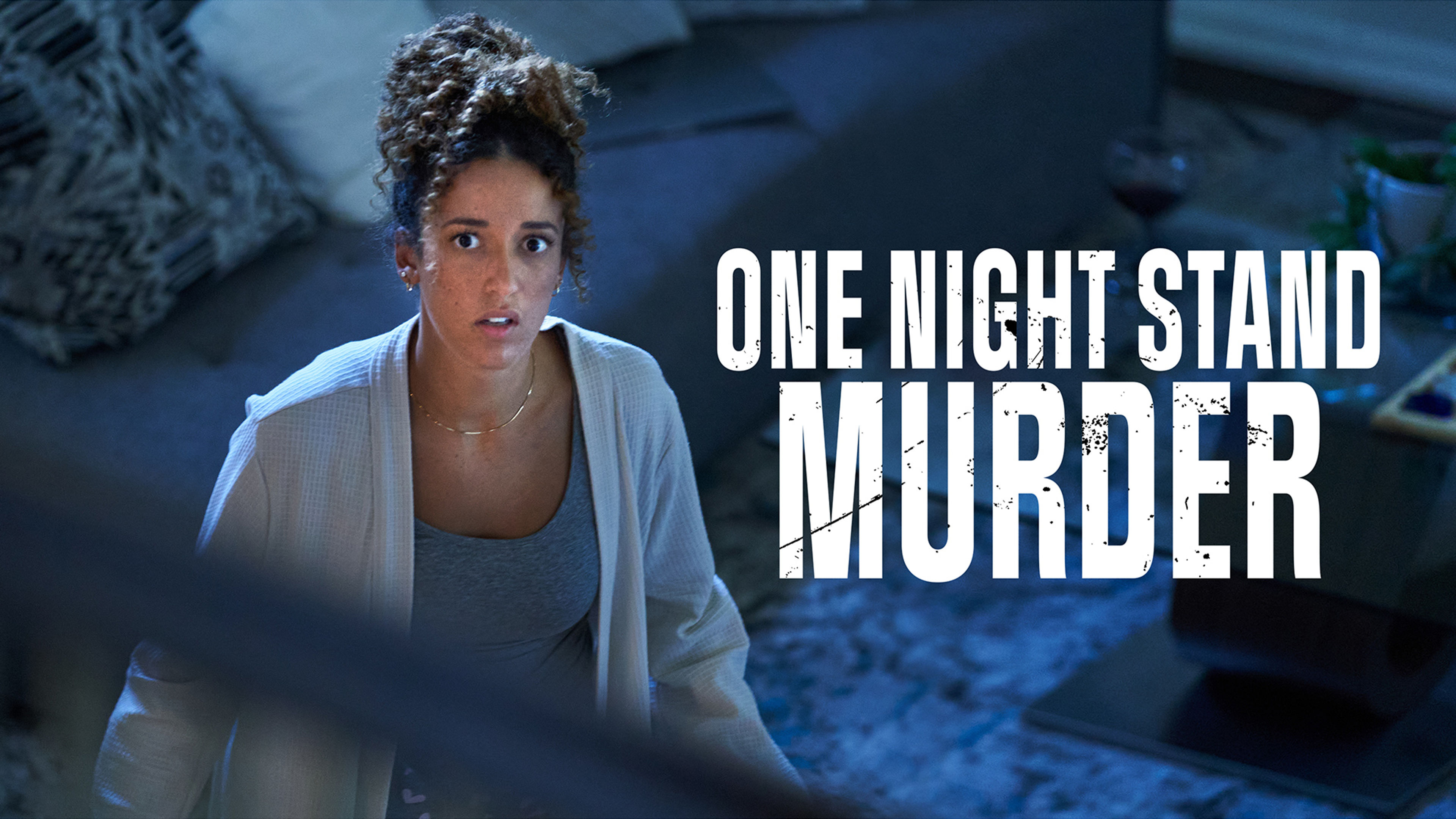 One Night Stand Murder