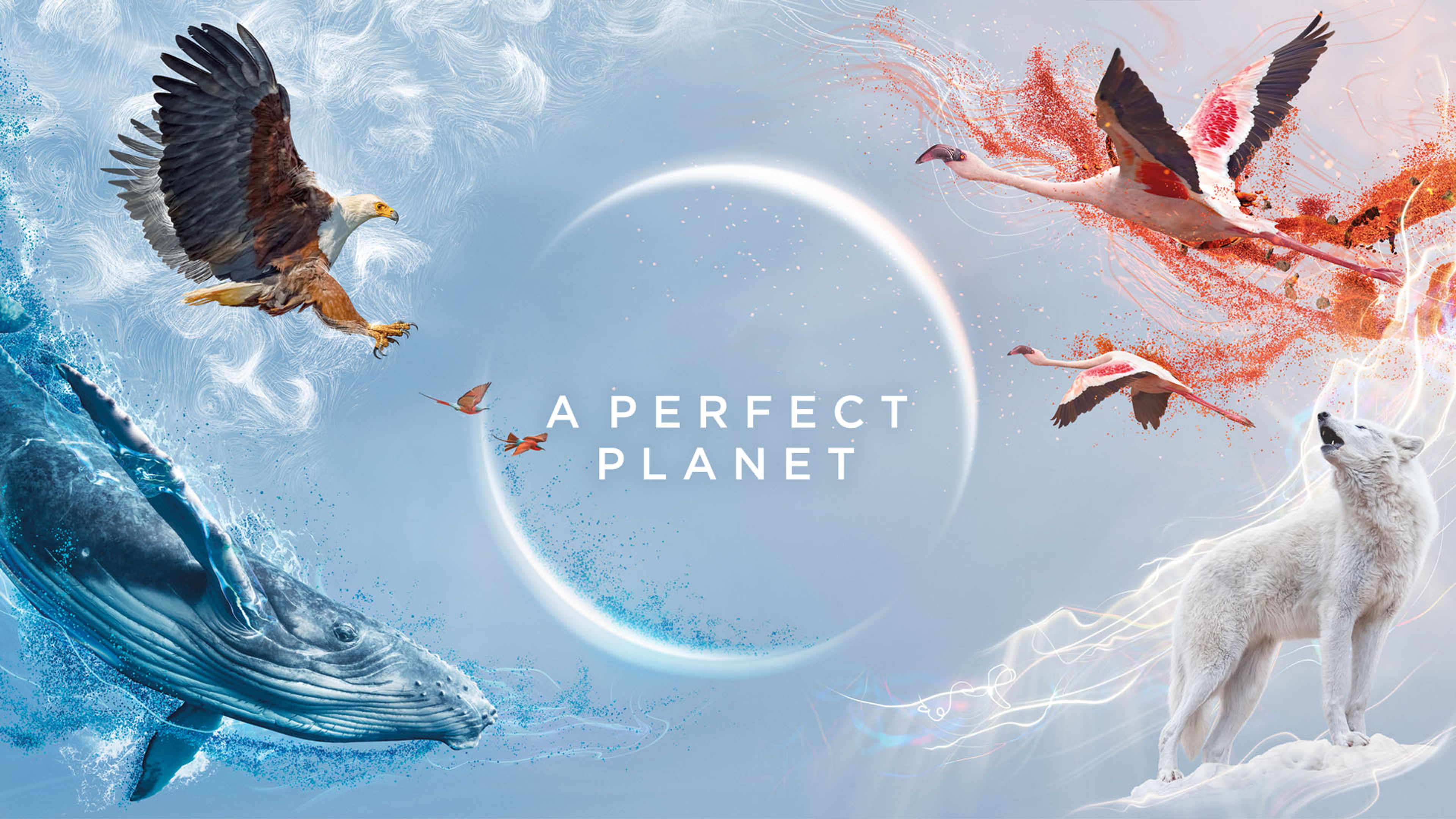 A Perfect Planet S1