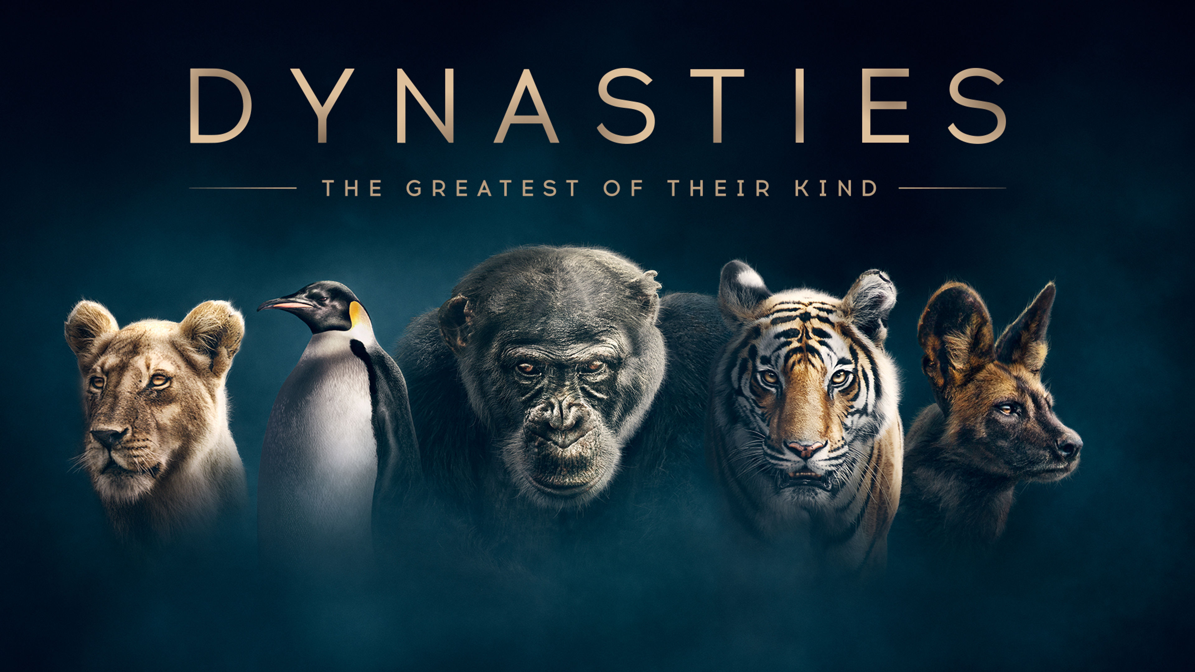 Dynasties S1