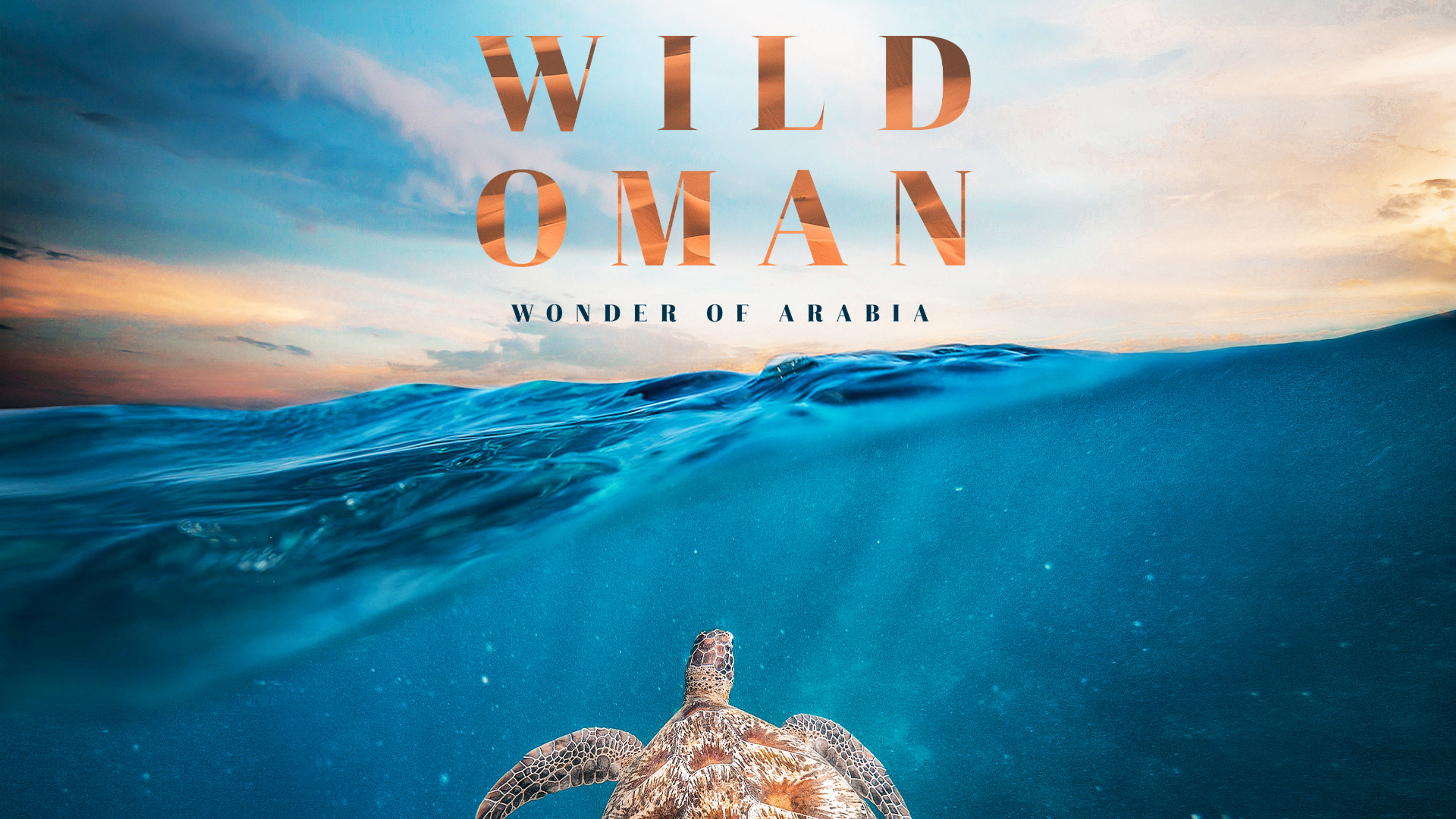 Wild Oman: Wonder of Arabia S1