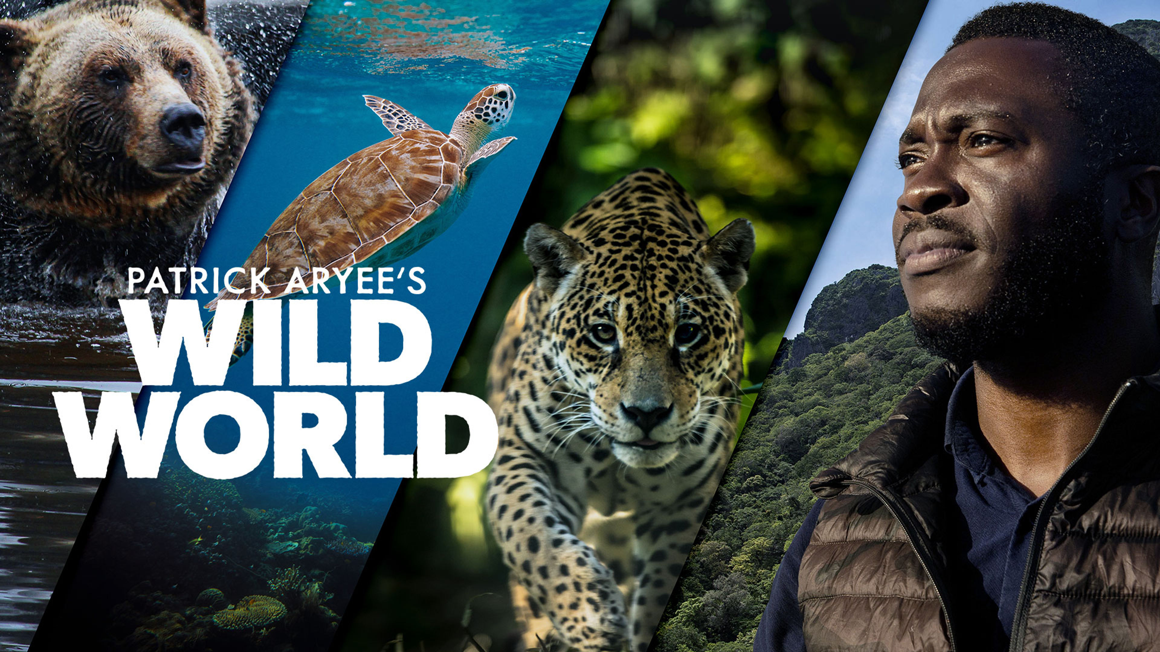 Patrick Aryee's Wild World S1