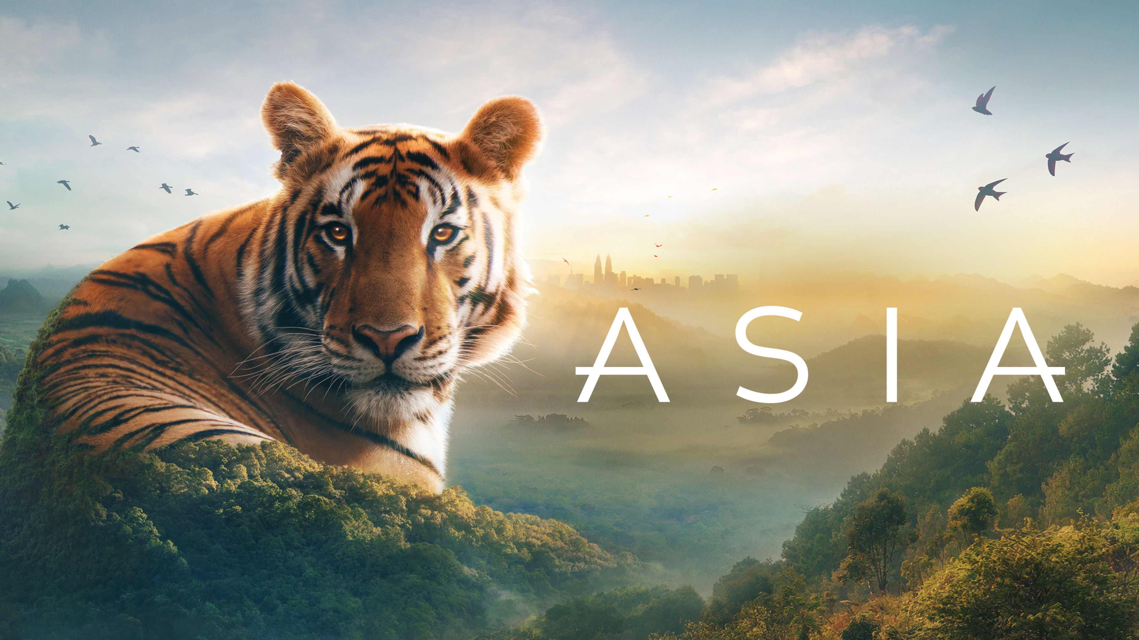 Asia S1