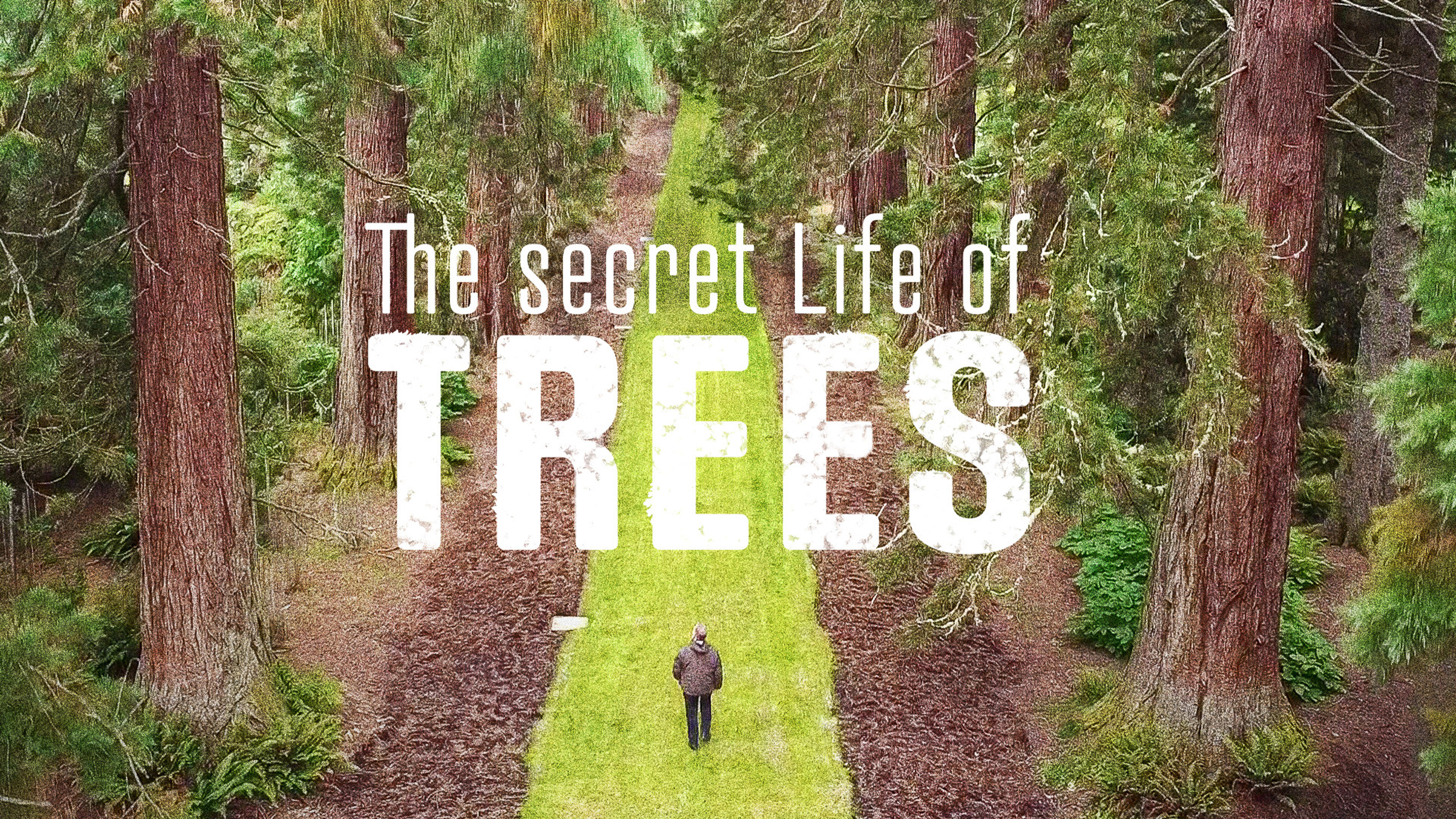The Secret Life of Trees S1