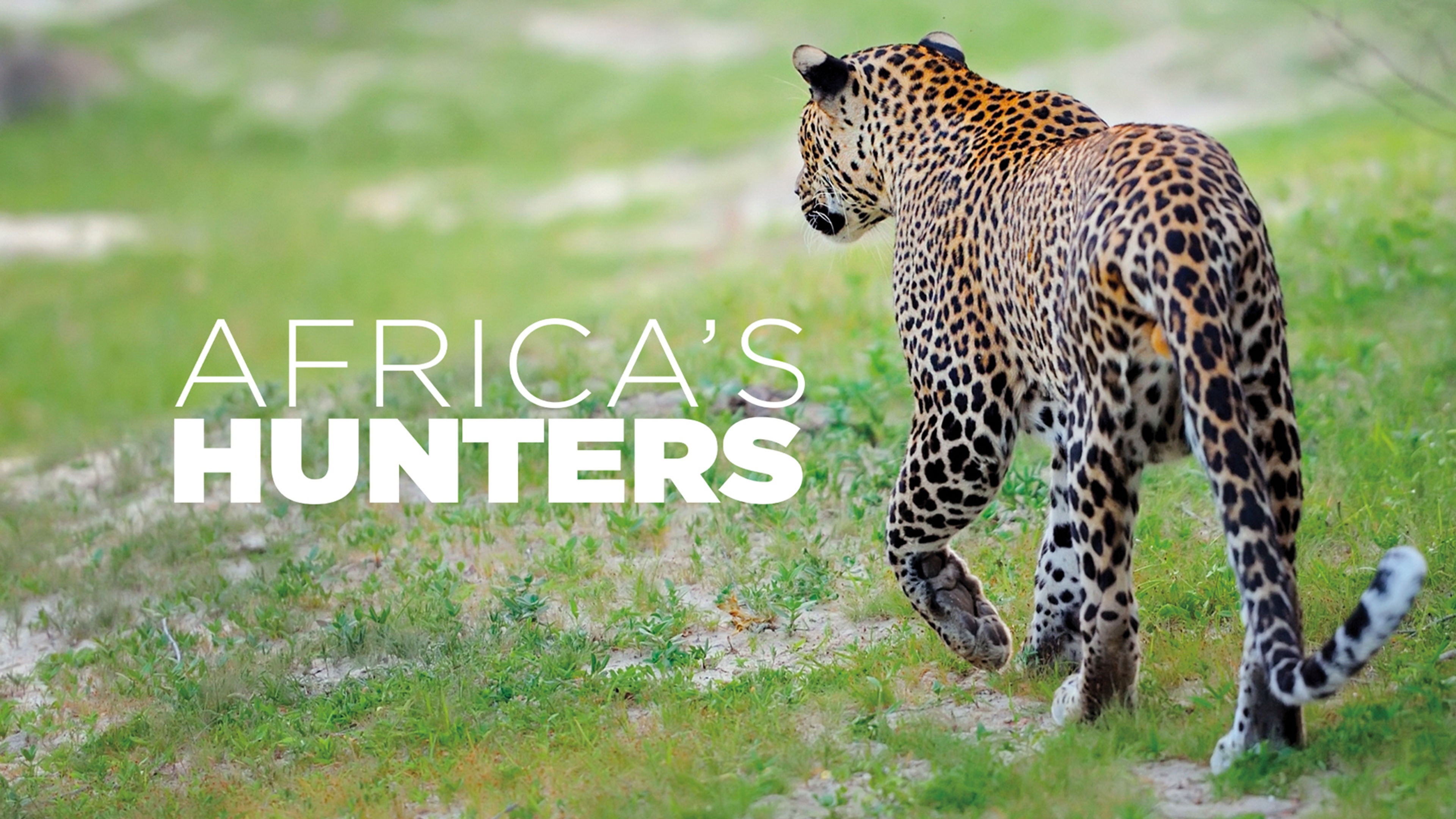 Africa's Hunters S1