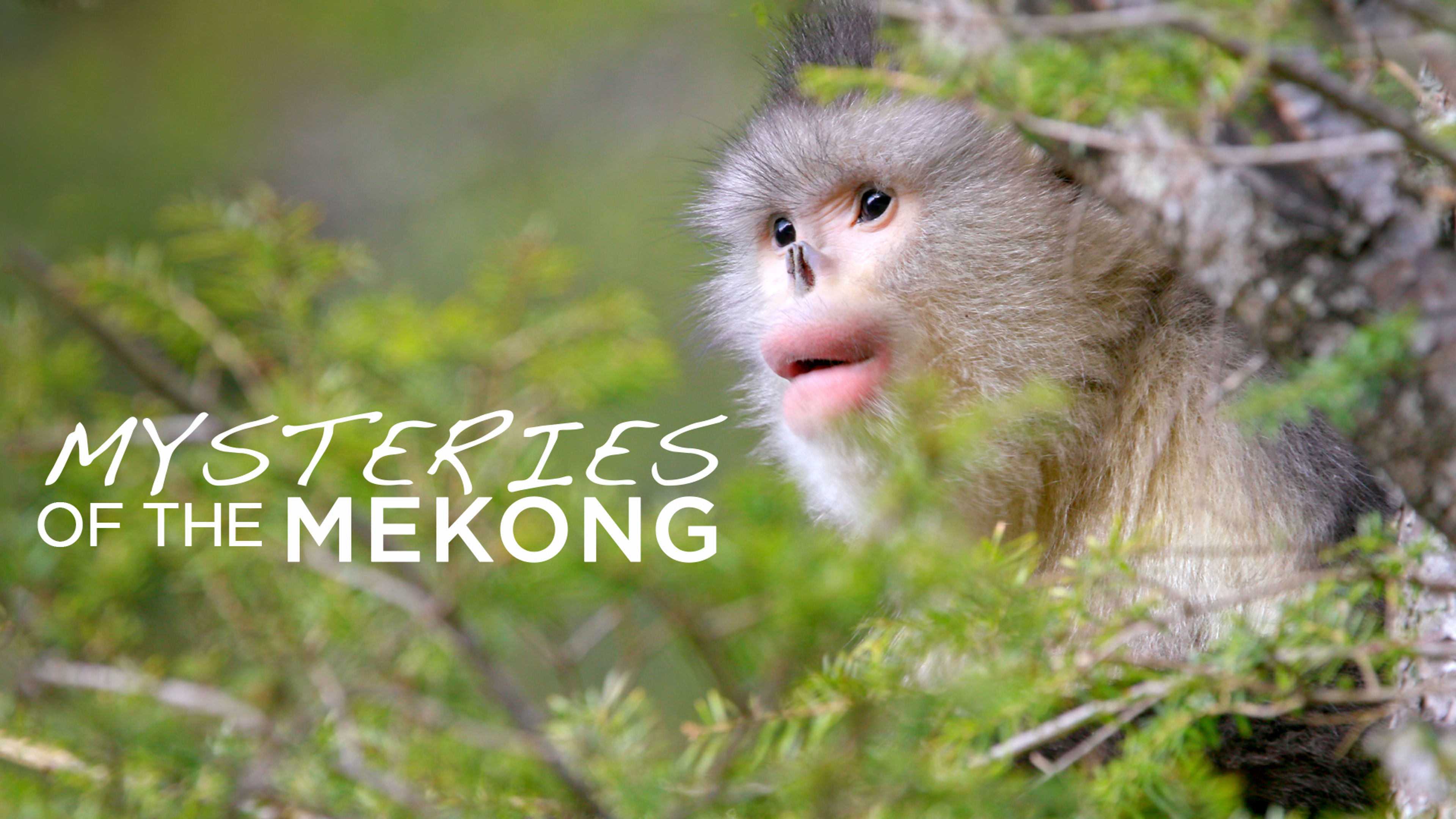 Mysteries of the Mekong S1