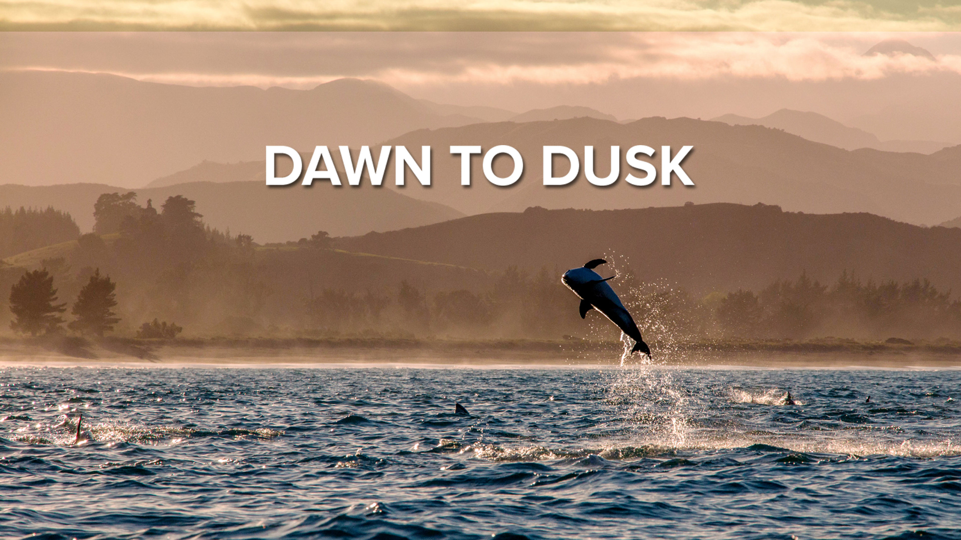 Dawn to Dusk S1