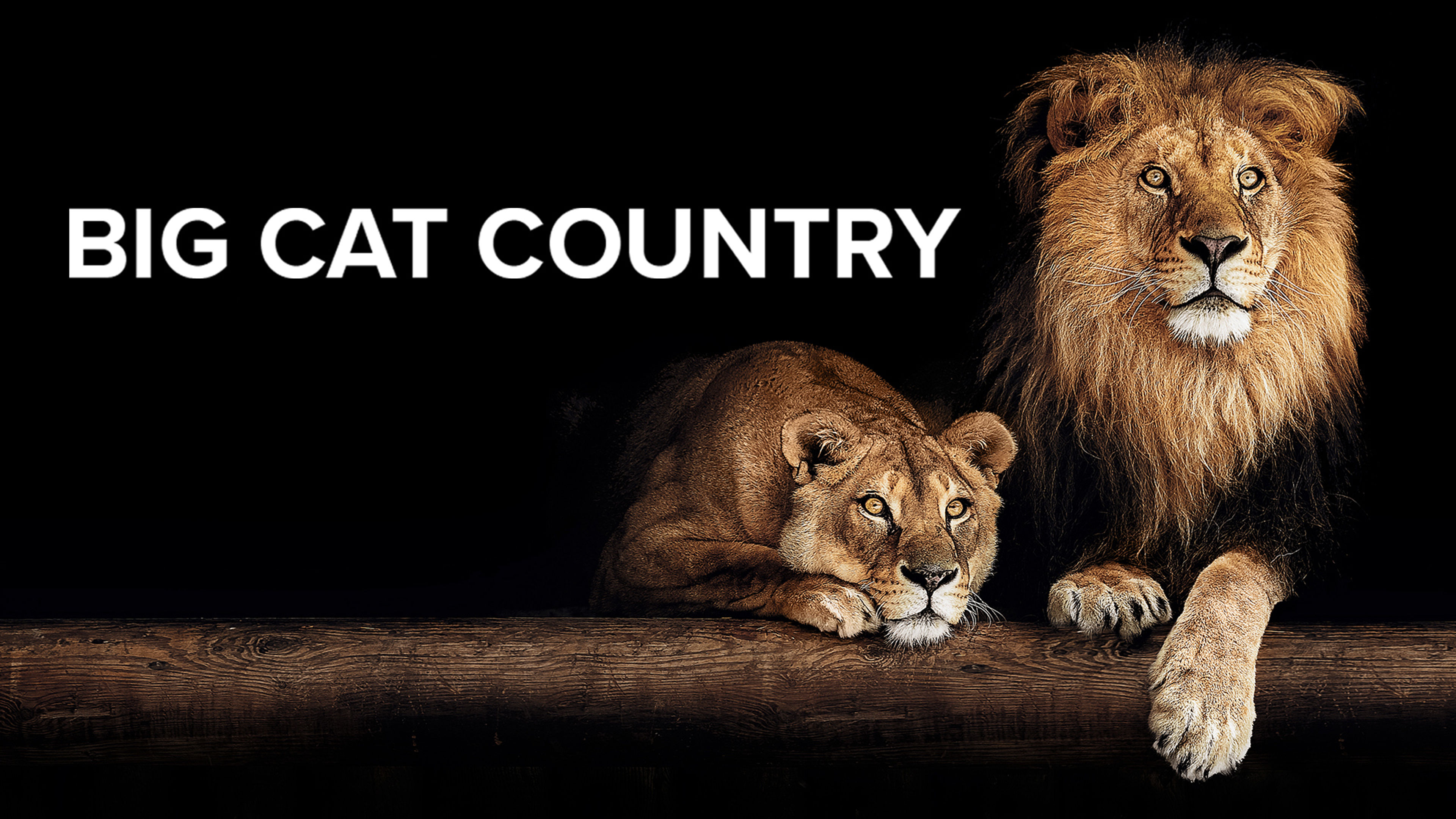Big Cat Country S1