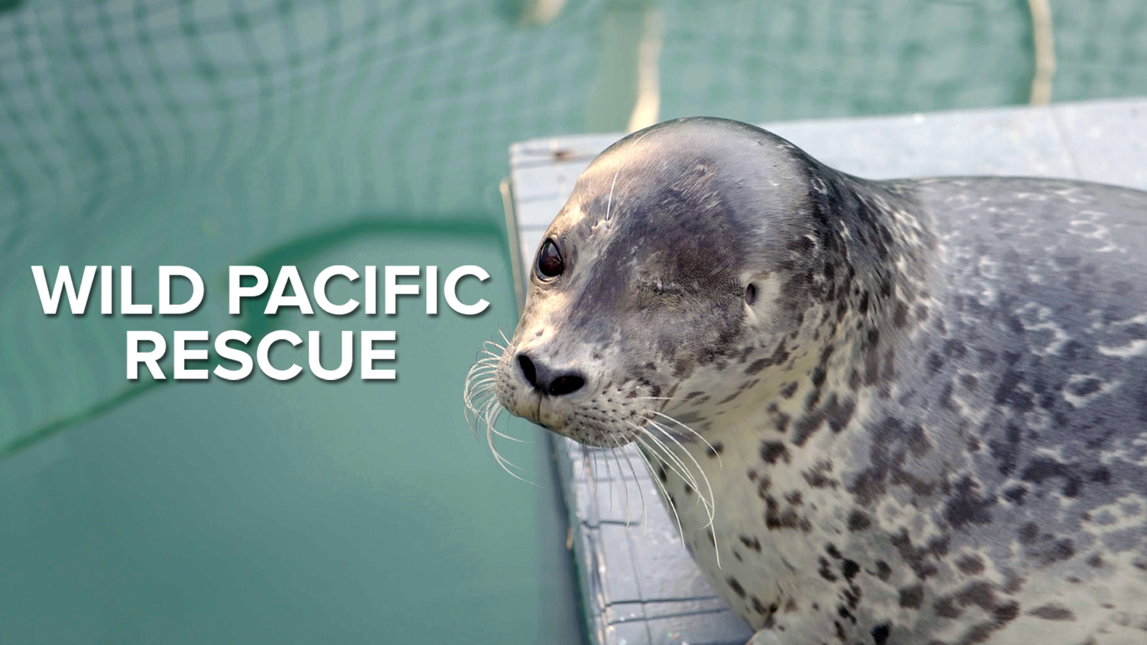 Wild Pacific Rescue S1